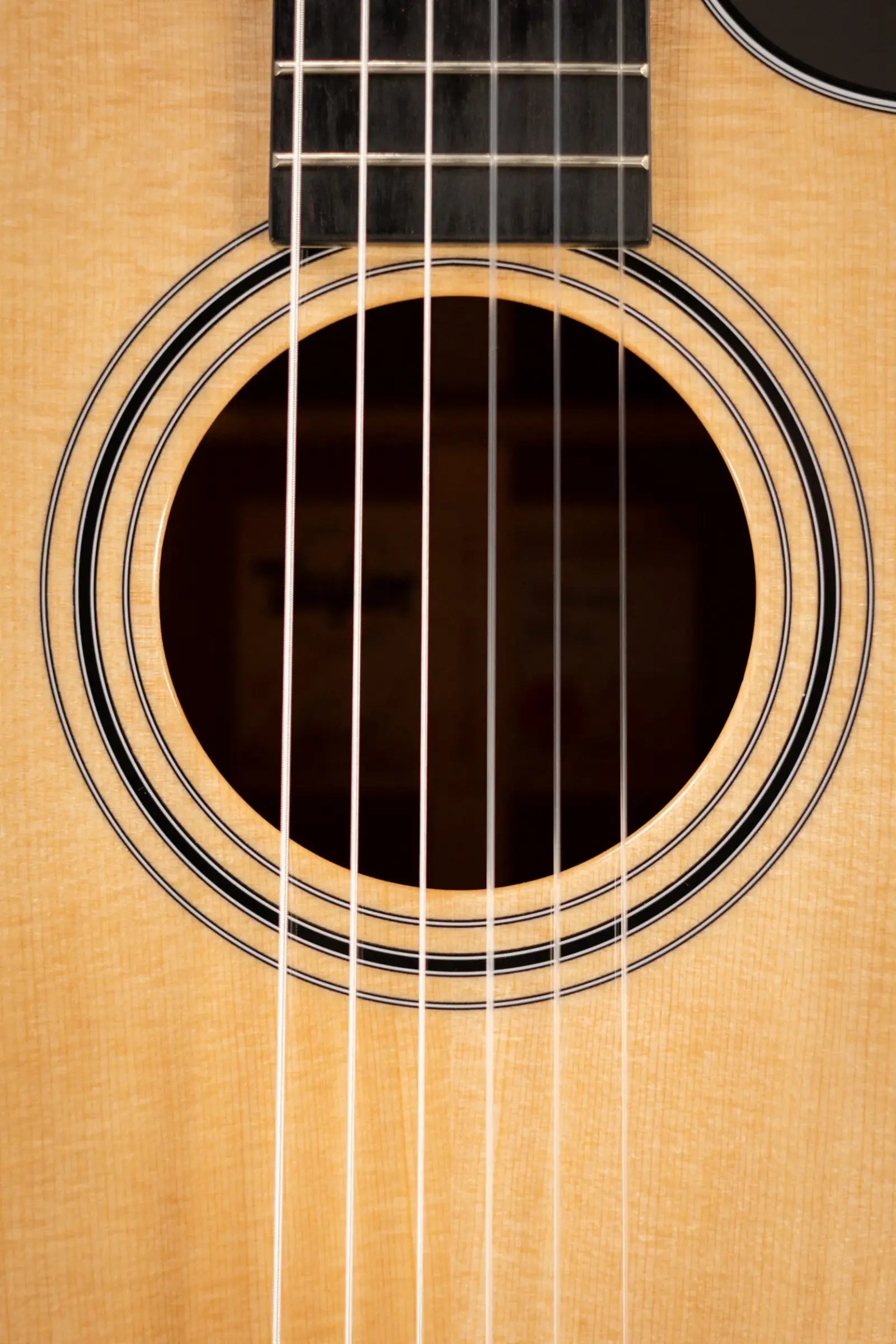 Taylor 312ce-N Nylon Grand Concert Acoustic/Electric Guitar with Hardshell Case
