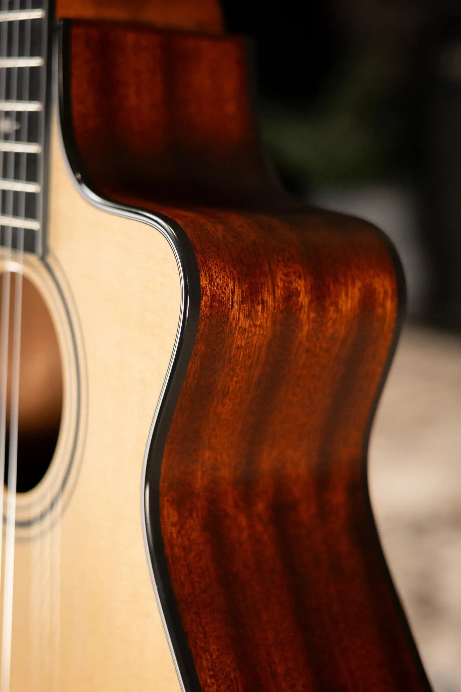 Taylor 312ce-N Nylon Grand Concert Acoustic/Electric Guitar with Hardshell Case