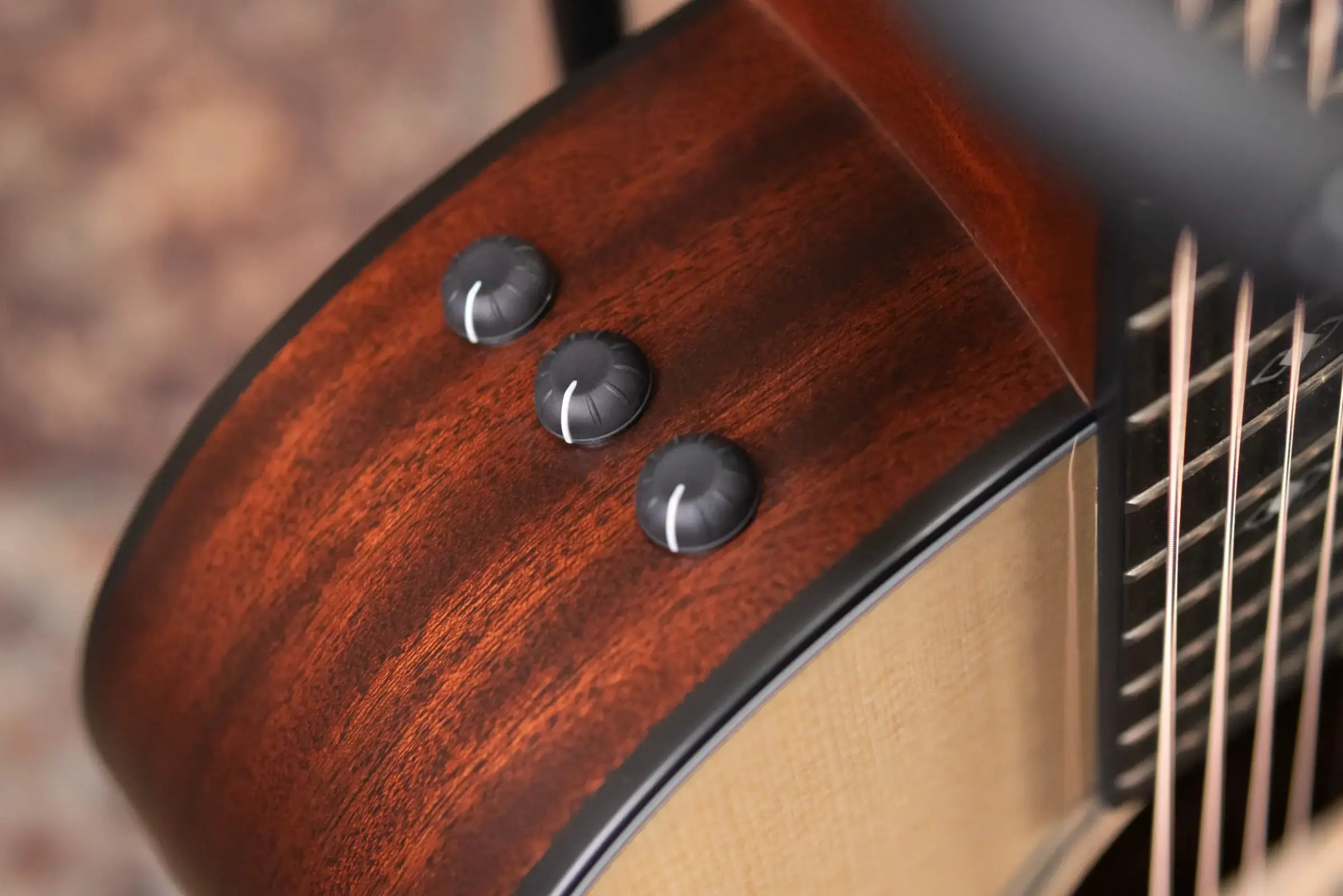 Taylor 314ce Grand Auditorium Acoustic/Electric Guitar with Hardshell Case