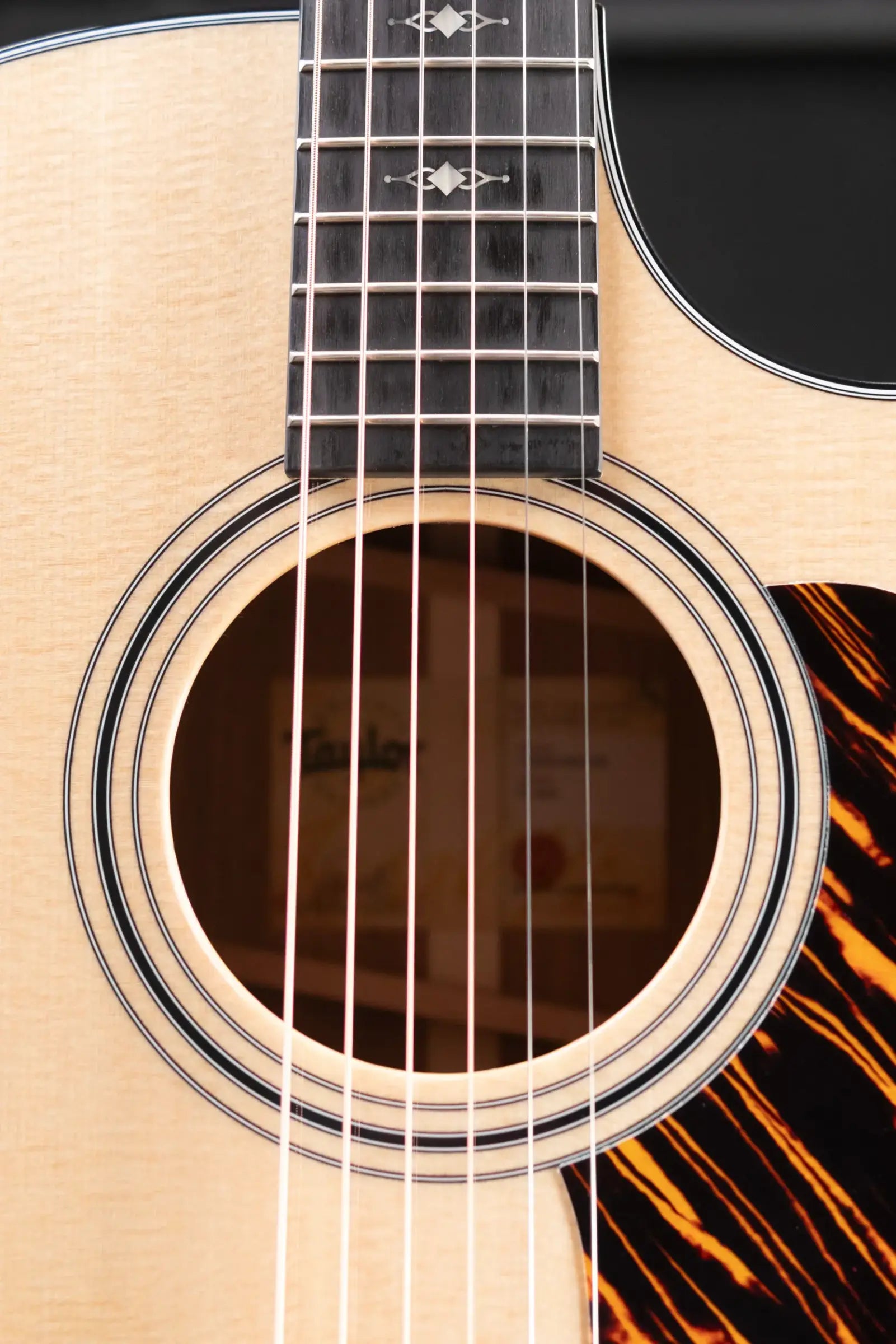 Taylor 314ce Grand Auditorium Acoustic/Electric Guitar with Hardshell Case