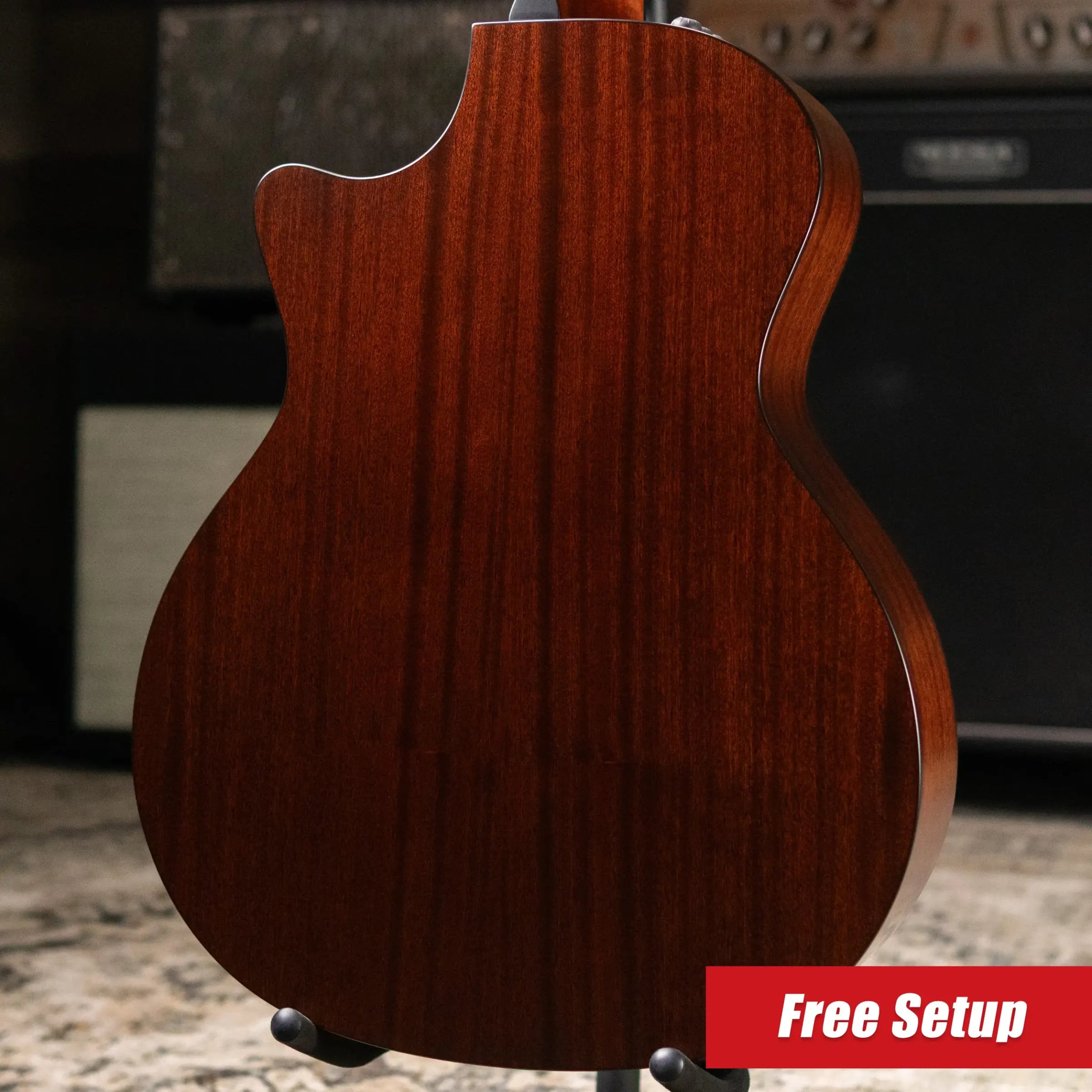 Taylor 314ce-N Grand Auditorium Nylon Acoustic/Electric Guitar with Hardshell Case