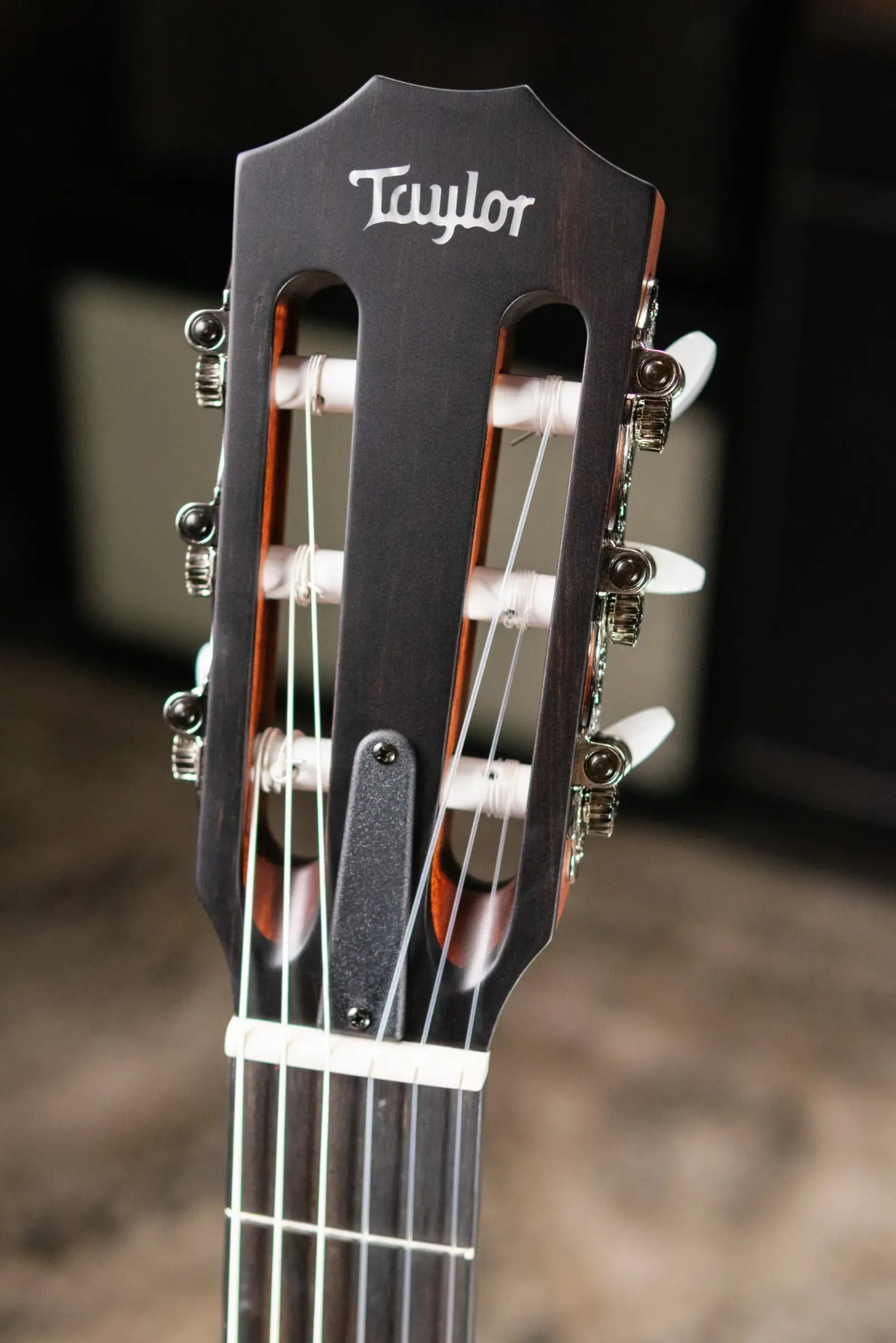 Taylor 314ce-N Grand Auditorium Nylon Acoustic/Electric Guitar with Hardshell Case