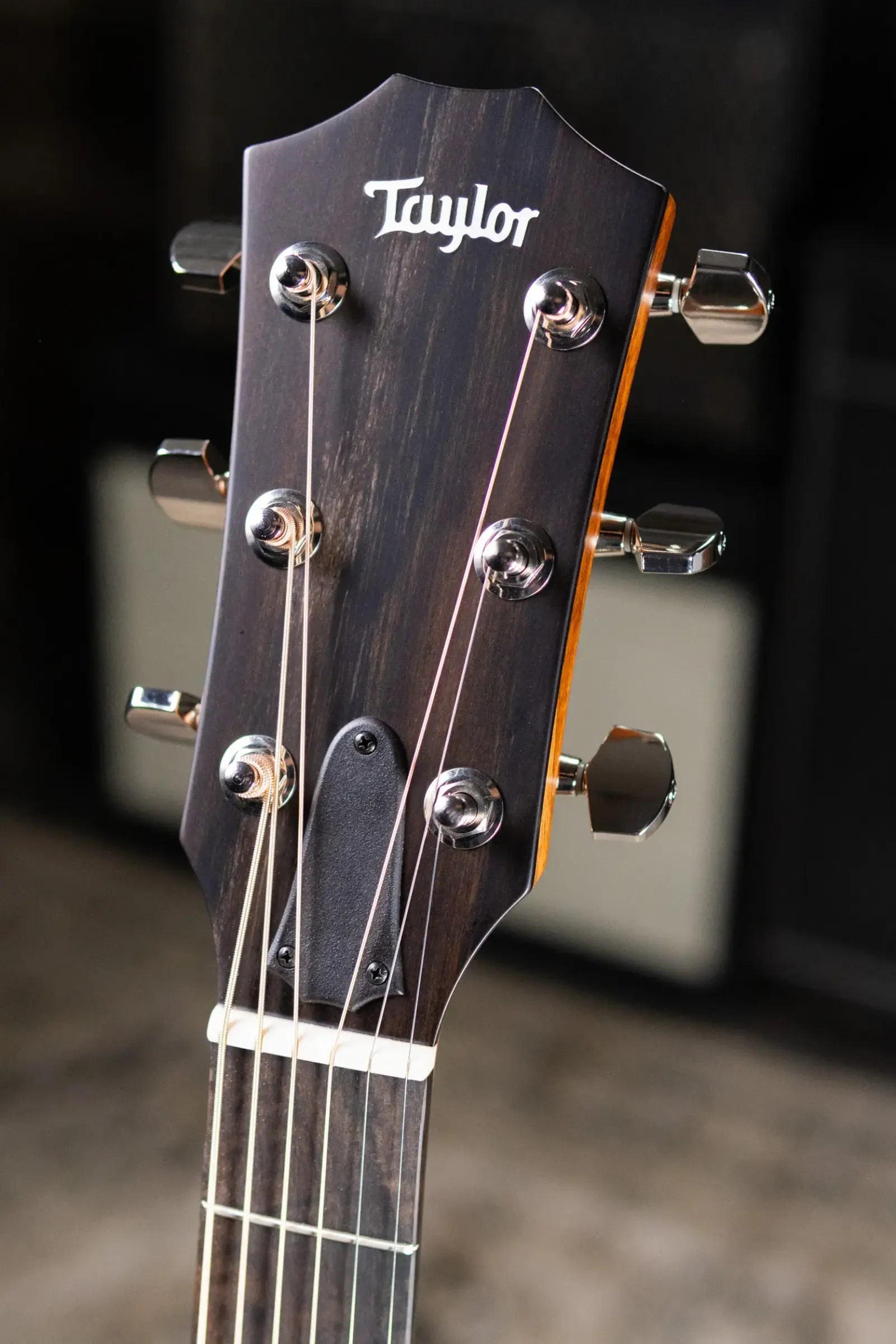 Taylor 314ce Studio Grand Auditorium Acoustic/Electric Guitar - Natural with Gig Bag