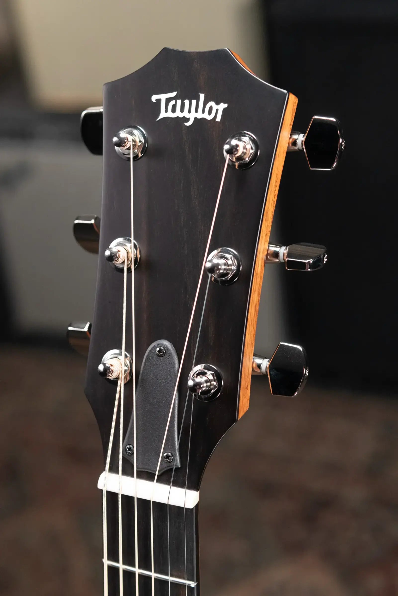 Taylor 314ce Studio Grand Auditorium Acoustic/Electric Guitar - Natural with Structured Gig Bag