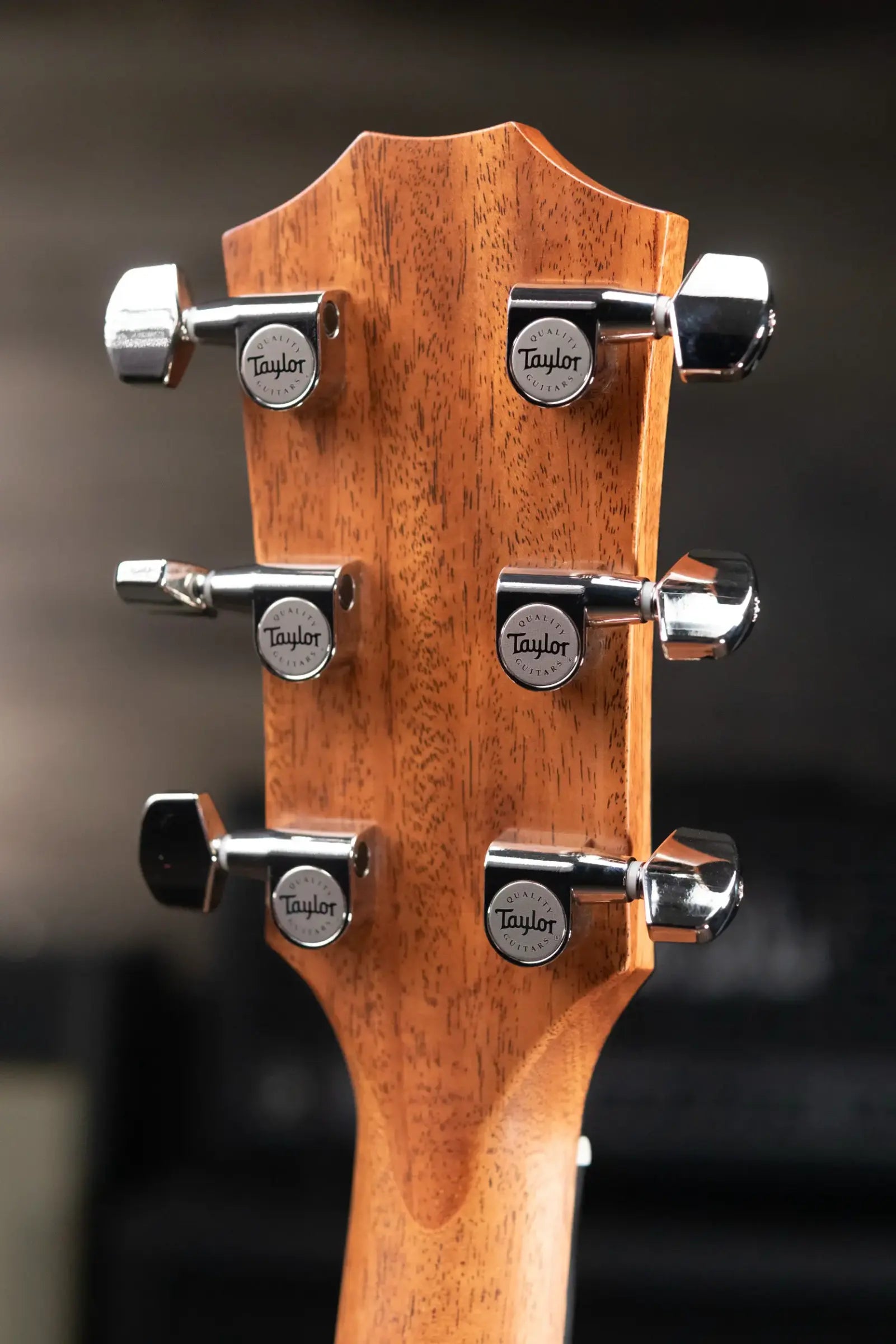 Taylor 314ce Studio Grand Auditorium Acoustic/Electric Guitar - Natural with Structured Gig Bag