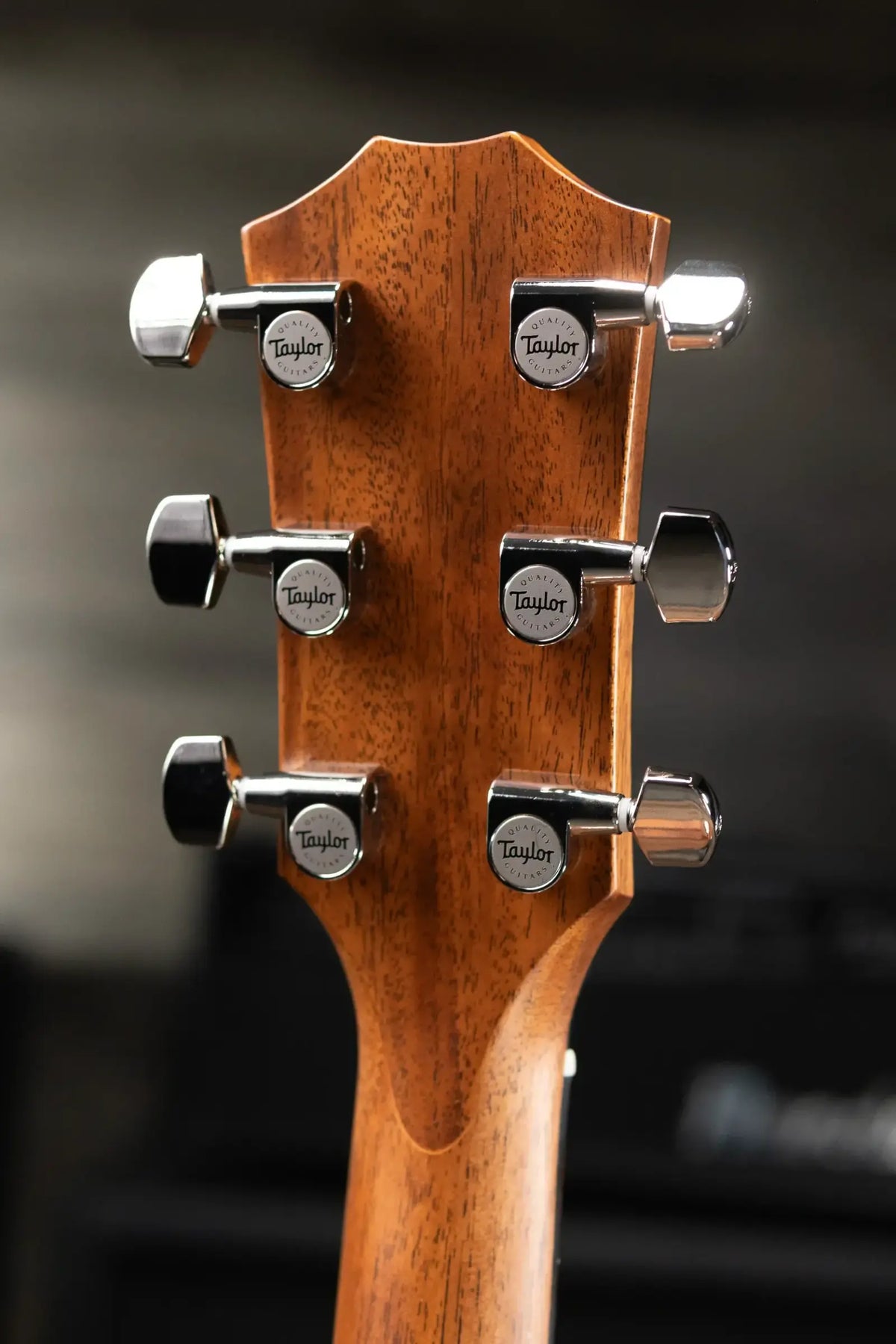 Taylor 314ce Studio Grand Auditorium Acoustic/Electric Guitar - Shaded Edge Burst with Gig Bag