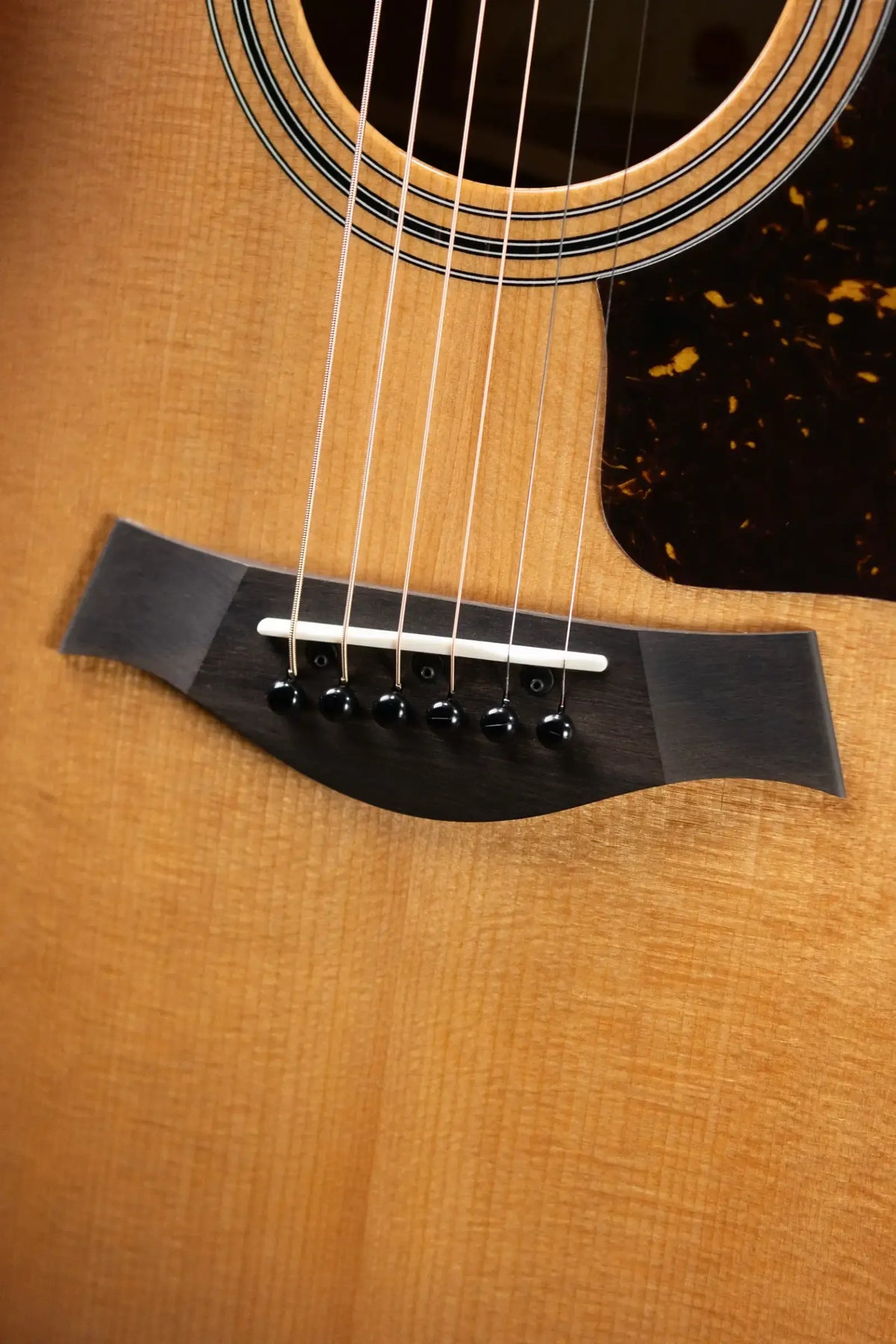 Taylor 314ce Studio Grand Auditorium Acoustic/Electric Guitar - Shaded Edge Burst with Gig Bag