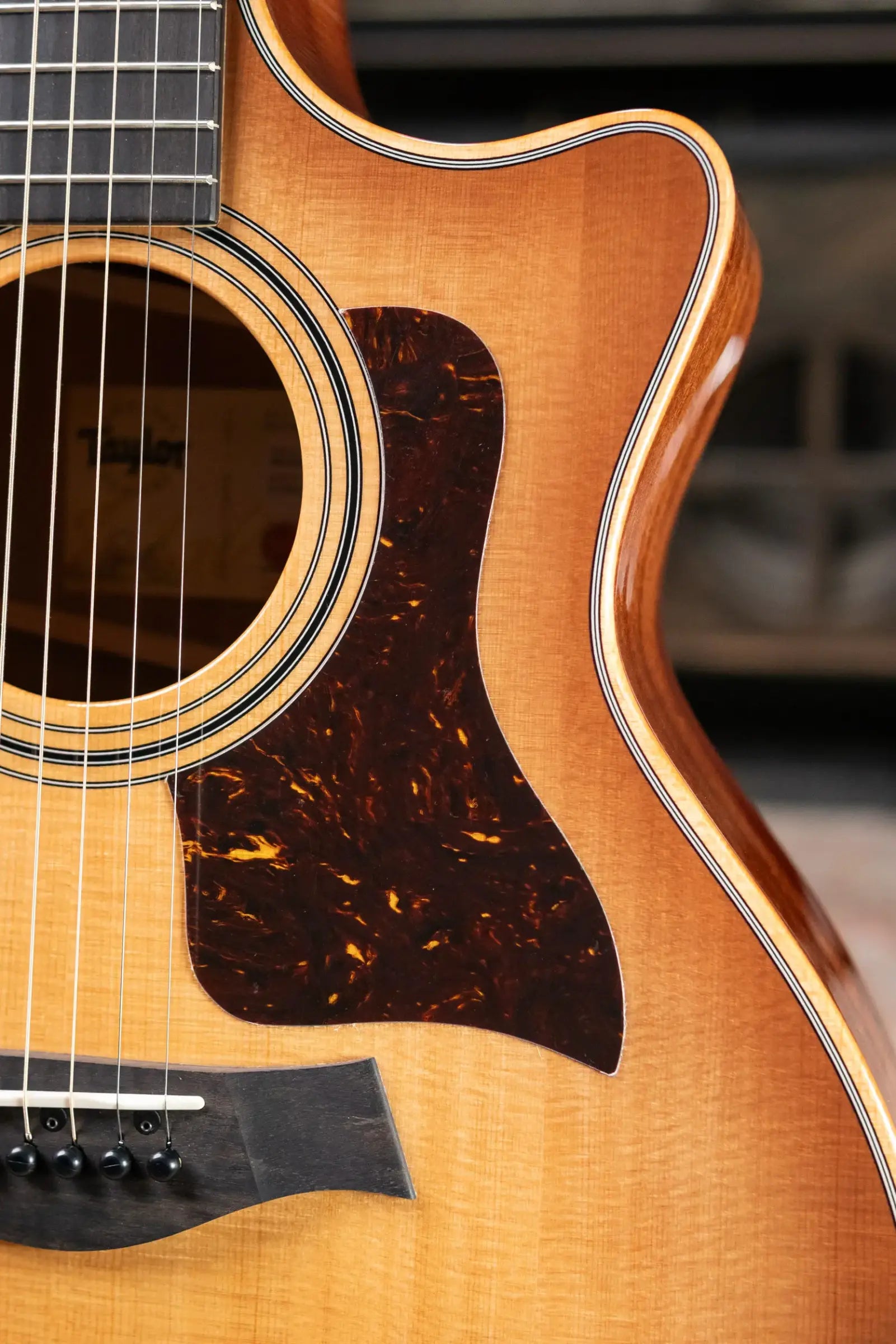 Taylor 314ce Studio Grand Auditorium Acoustic/Electric Guitar - Shaded Edge Burst with Hardshell Case