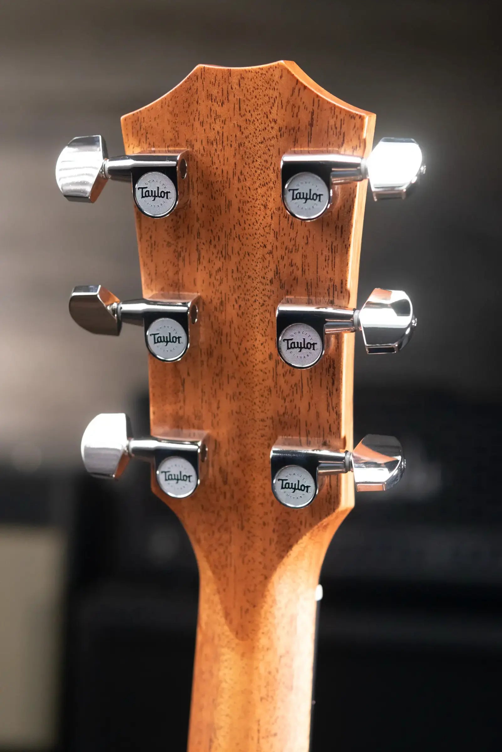 Taylor 314ce Studio Grand Auditorium Acoustic/Electric Guitar - Shaded Edgeburst with Hardshell Case