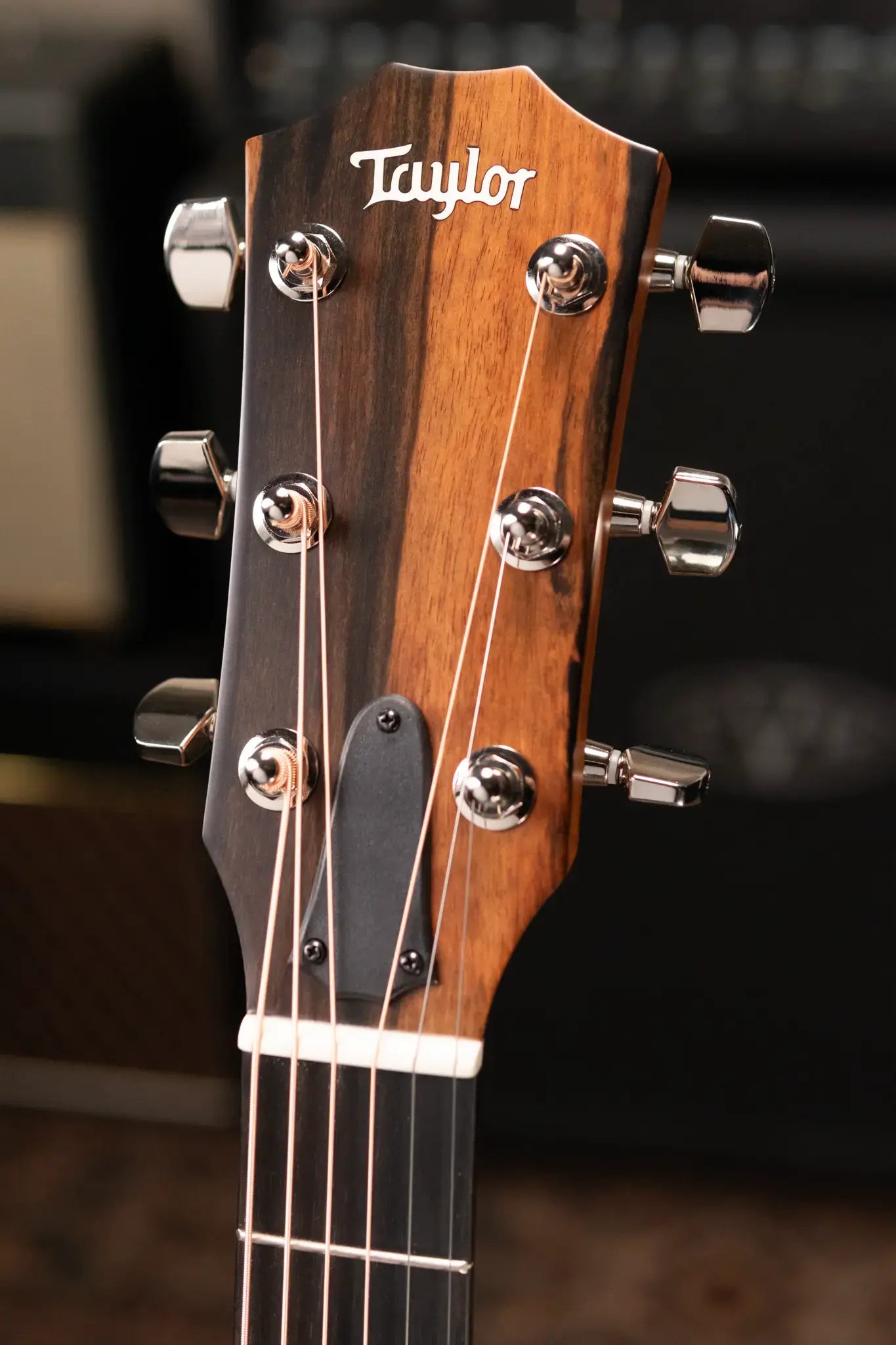 Taylor 314ce Studio Special Edition Acoustic/Electric Guitar with Gig Bag