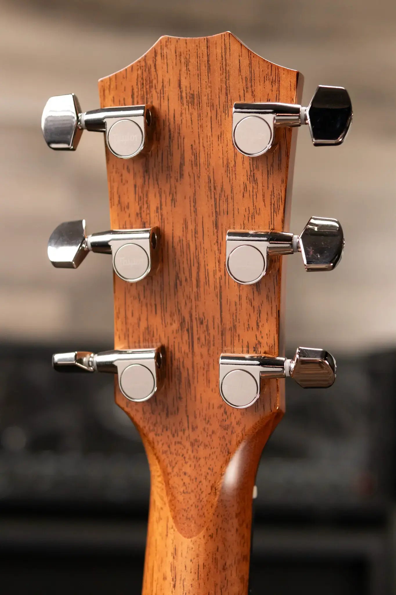 Taylor 314ce Studio Special Edition Acoustic/Electric Guitar with Gig Bag