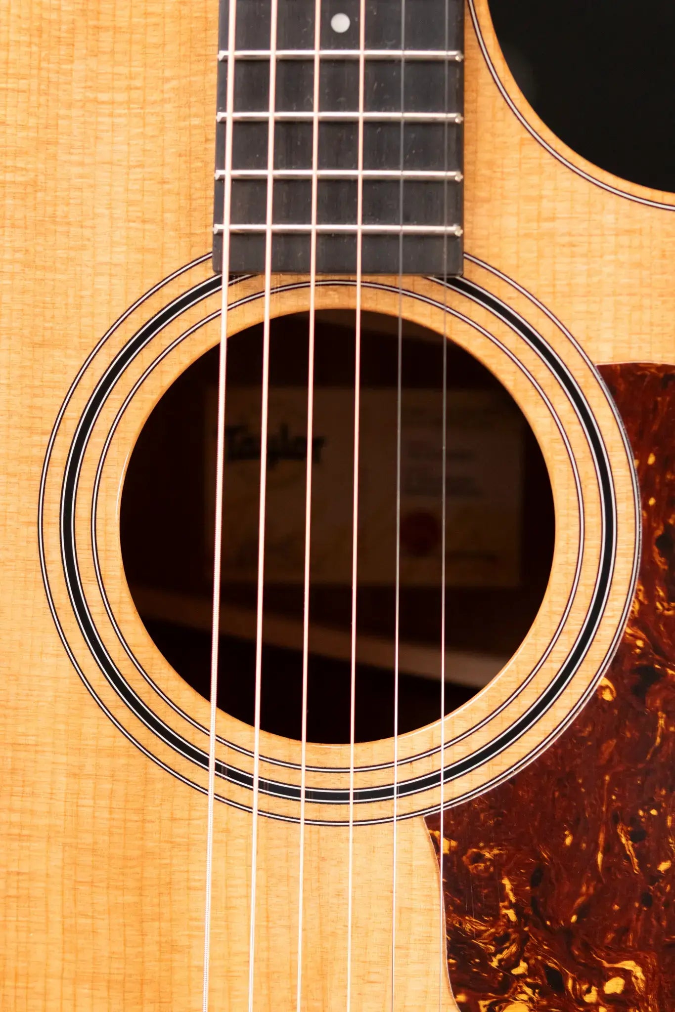 Taylor 314ce Studio Special Edition Acoustic/Electric Guitar with Gig Bag