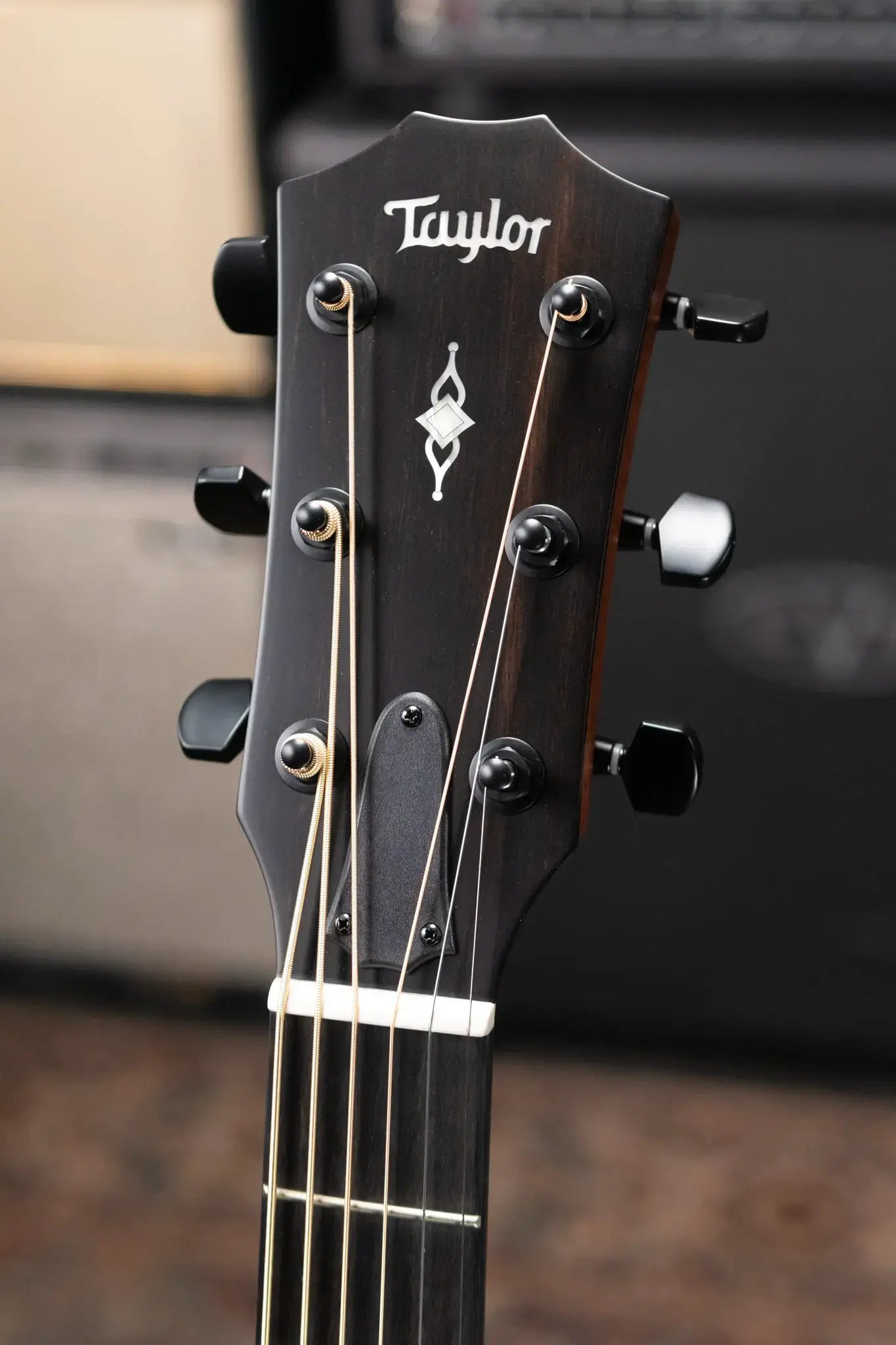 Taylor 324ce Baritone-6 LTD Grand Auditorium Acoustic/Electric Guitar with Hardshell Case