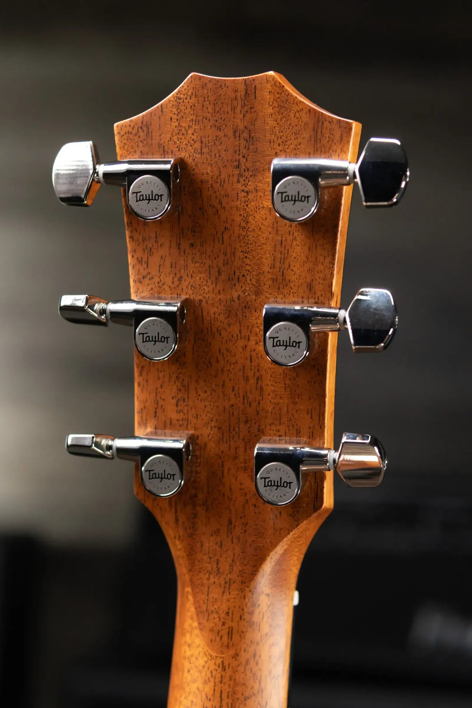 Taylor 324ce Studio Special Edition Grand Auditorium Acoustic/Electric Guitar - Shaded Edge Burst with Gig Bag