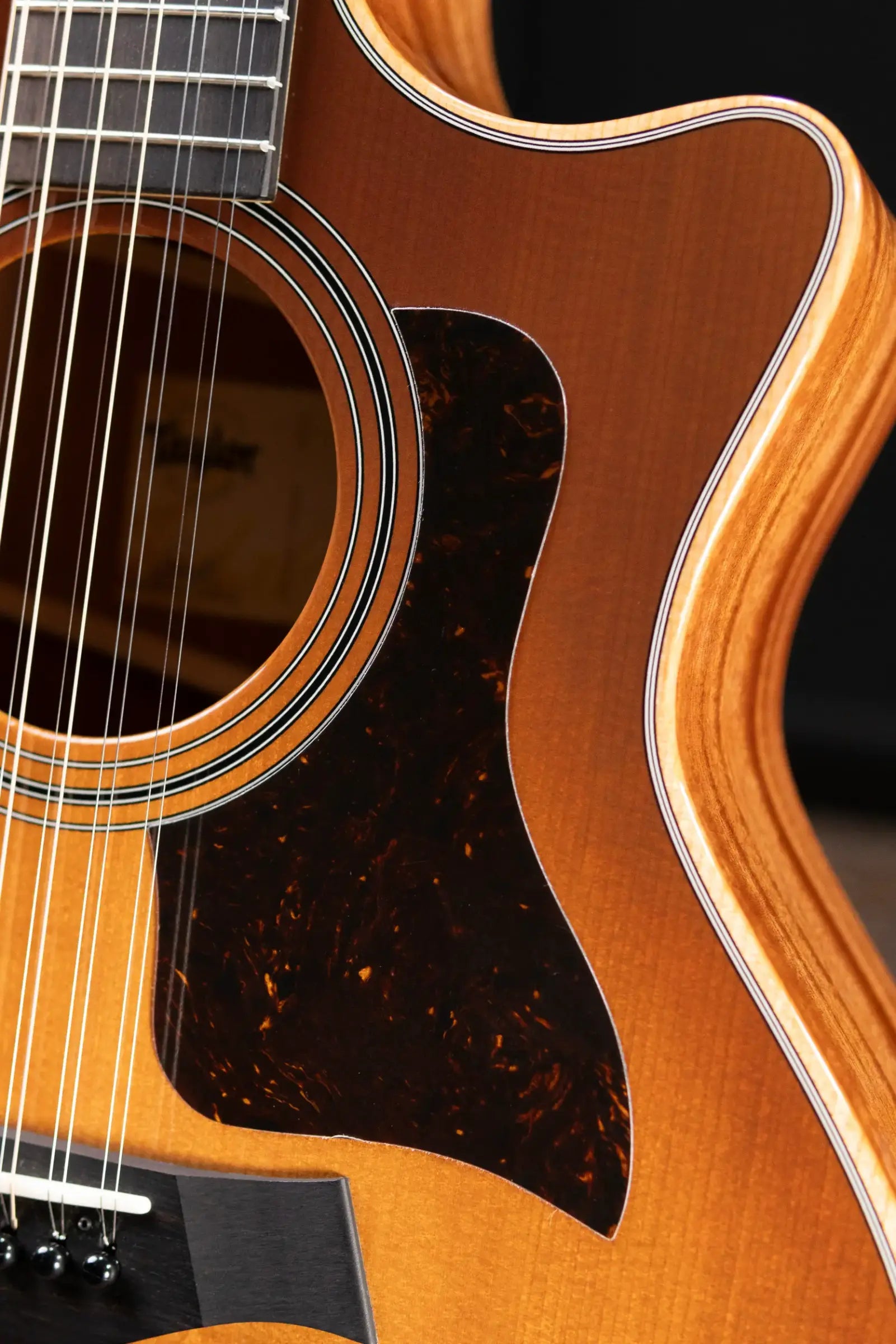 Taylor 354ce Studio Special Edition 12-String Grand Auditorium Acoustic/Electric Guitar - Honeyburst with Structured Gig Bag