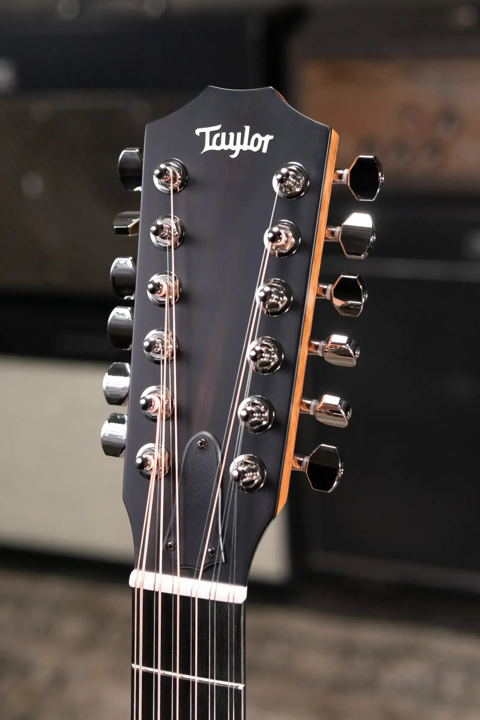 Taylor 354ce Studio Special Edition Acoustic/Electric Guitar - Honeyburst with Gig Bag