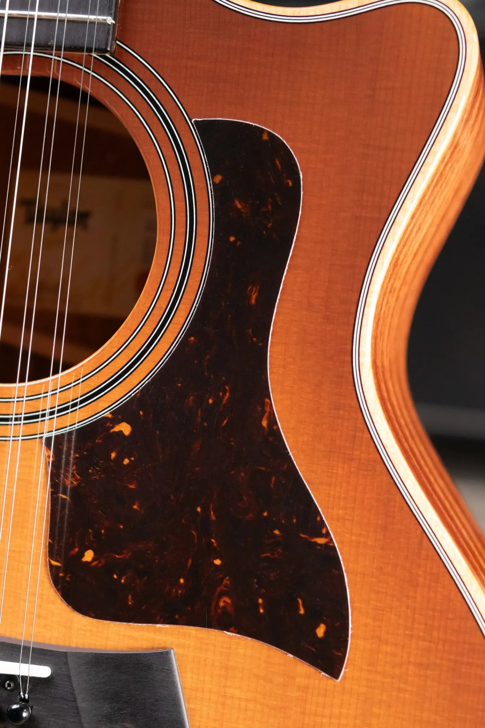Taylor 354ce Studio Special Edition Acoustic/Electric Guitar - Honeyburst with Gig Bag