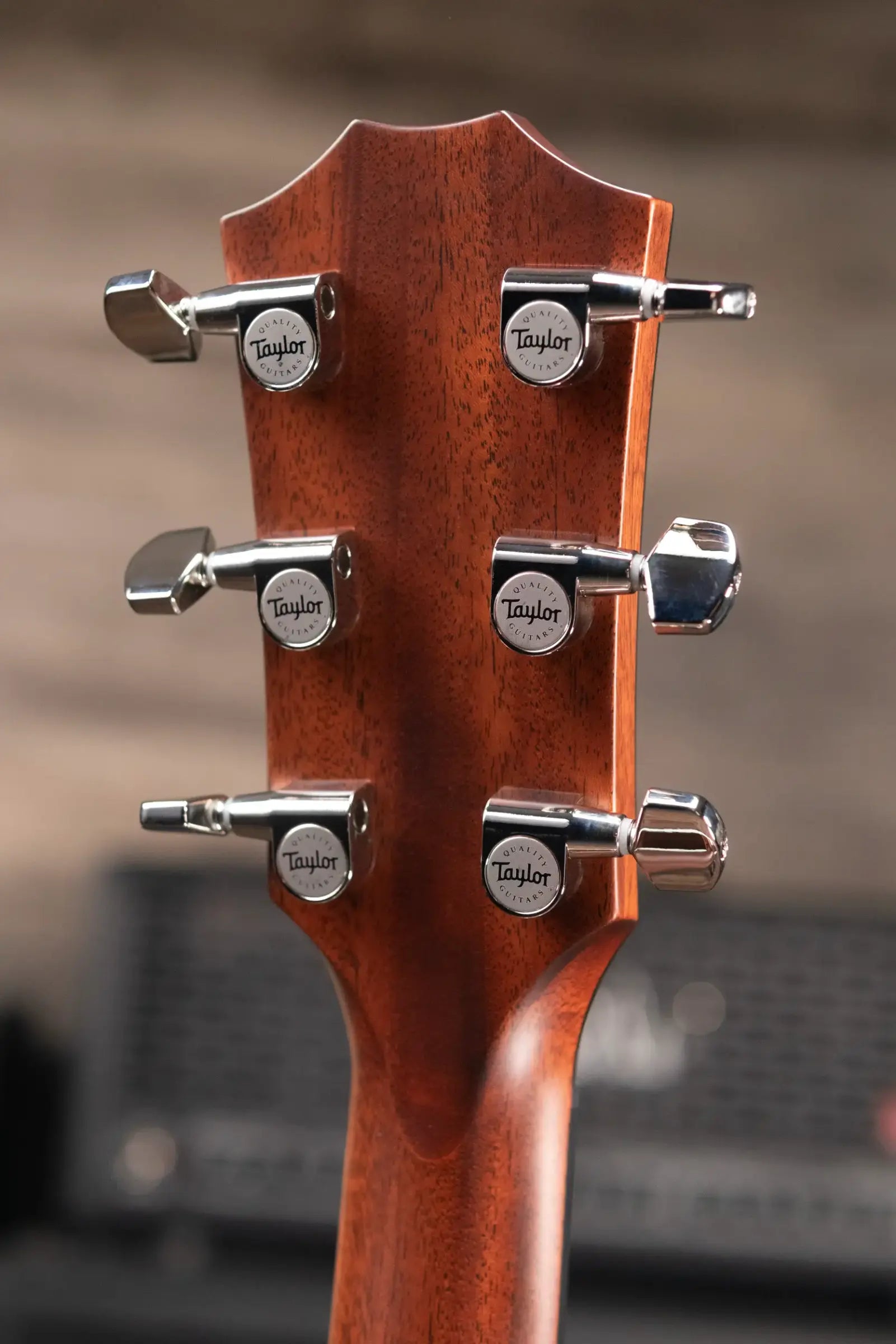 Taylor 414ce Grand Auditorium Acoustic/Electric Guitar - Natural with Hardshell Case