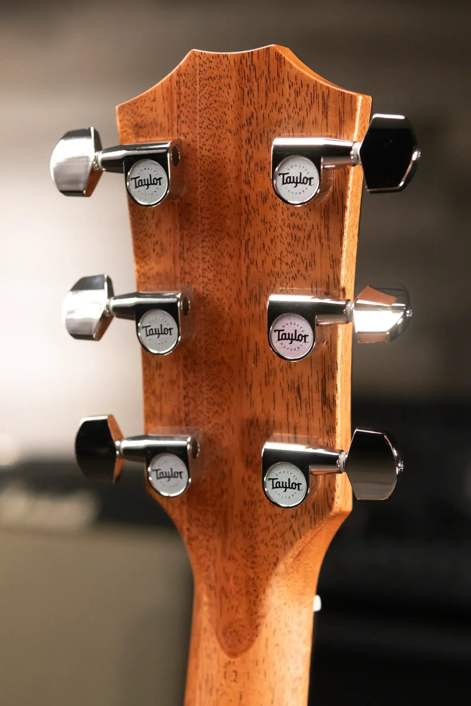 Taylor 414ce Studio Grand Auditorium Acoustic/Electric Guitar - Natural with Gig Bag - Factory Demo