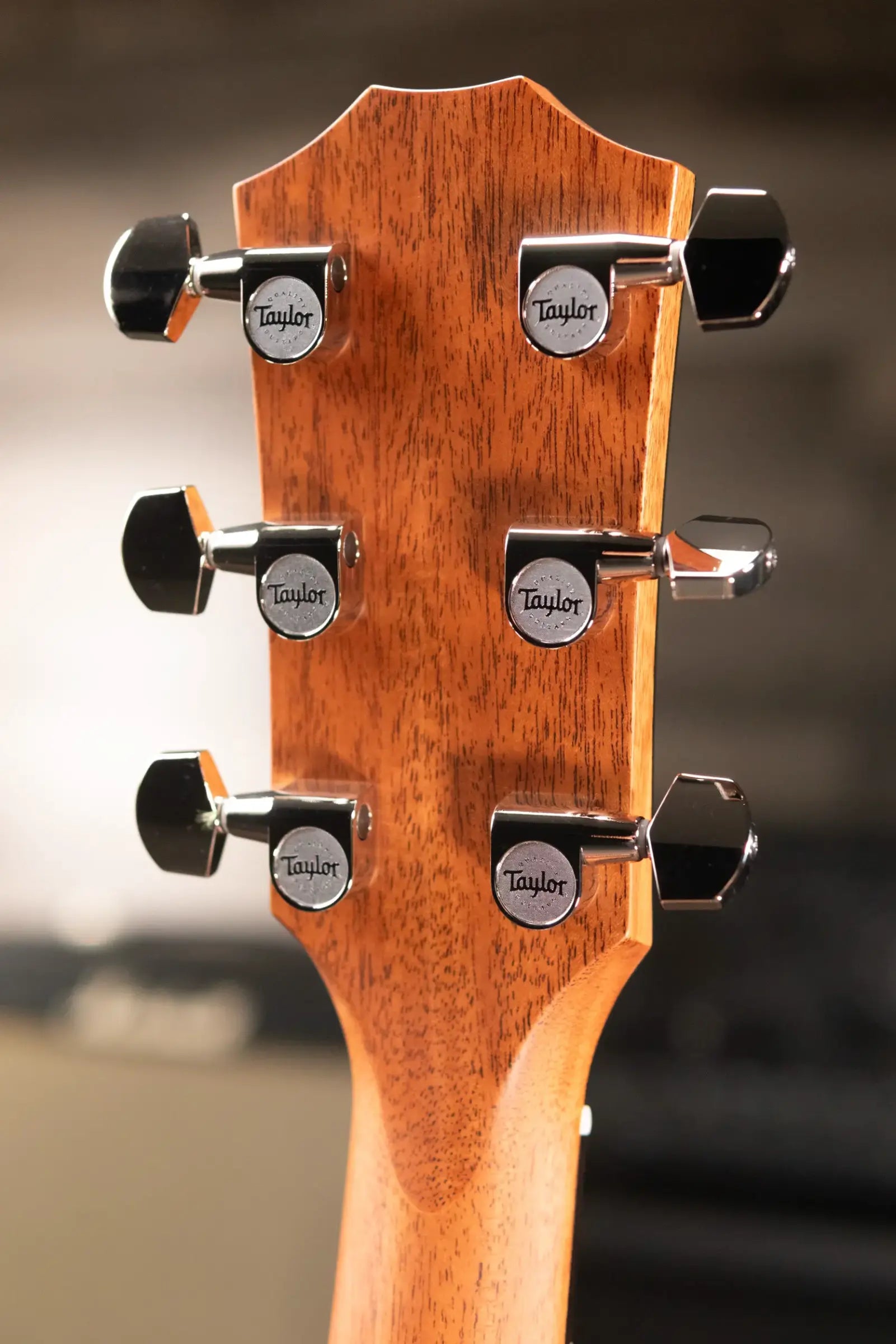 Taylor 414ce Studio Grand Auditorium Acoustic/Electric Guitar - Natural with Gig Bag