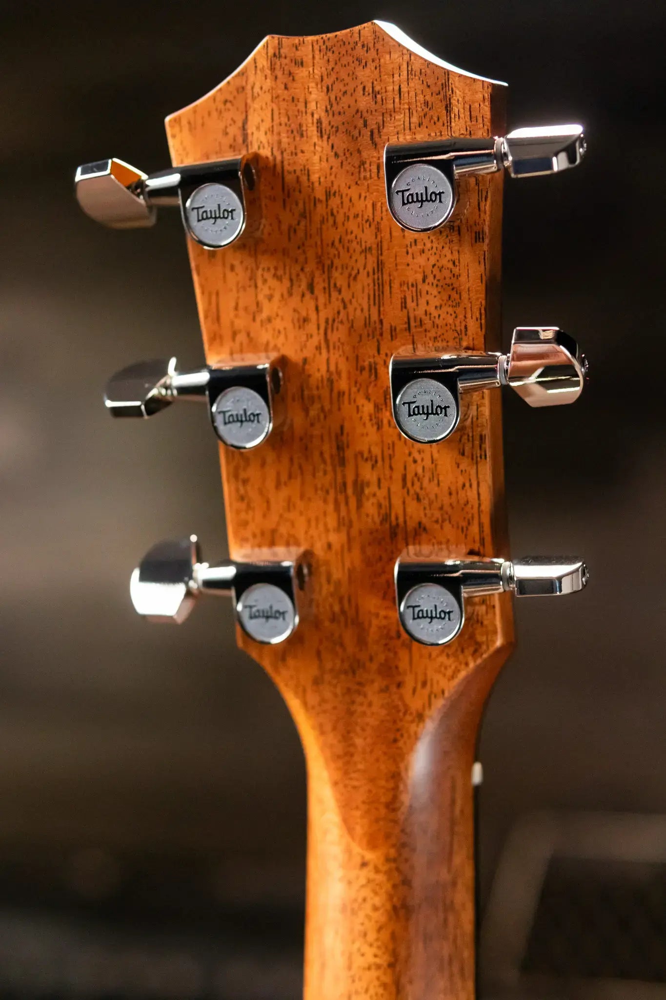 Taylor 414ce Studio Grand Auditorium Acoustic/Electric Guitar - Natural with Gig Bag - Factory Demo