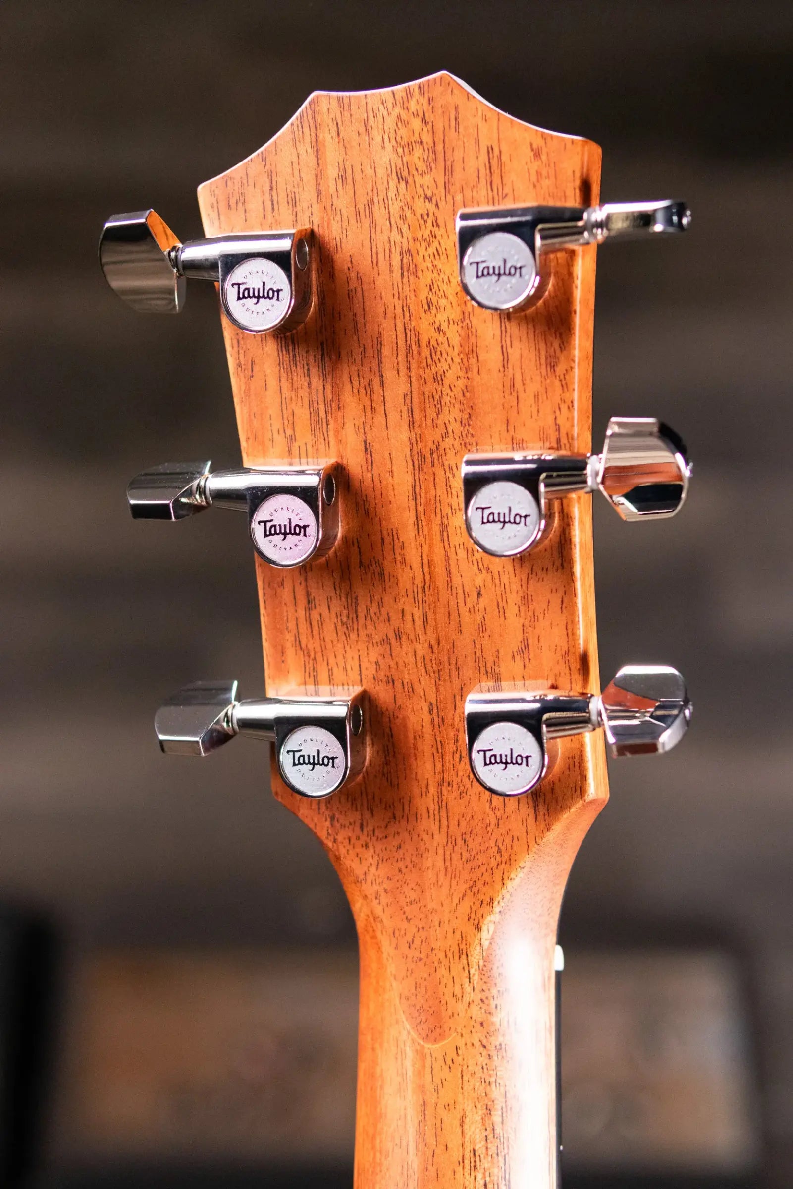 Taylor 414ce Studio Grand Auditorium Acoustic/Electric Guitar - Natural with Gig Bag