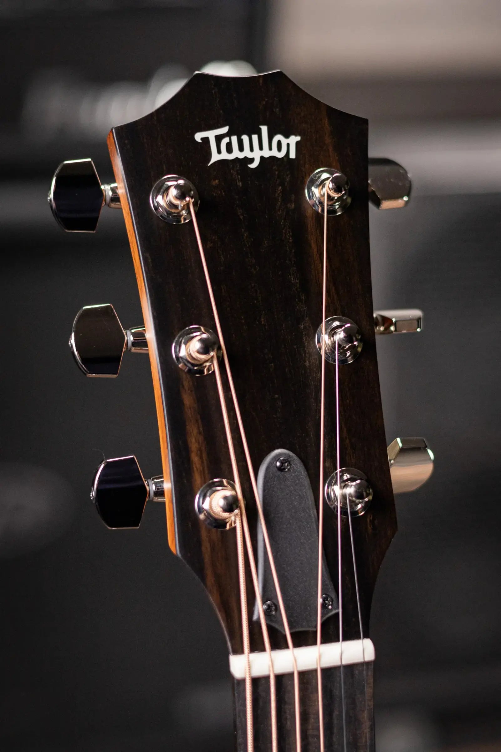 Taylor 414ce Studio Grand Auditorium Acoustic/Electric Guitar - Natural with Gig Bag