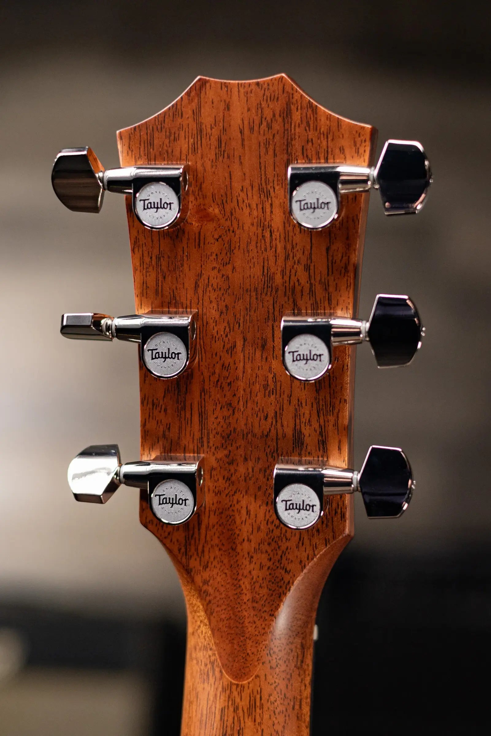 Taylor 414ce Studio Grand Auditorium Acoustic/Electric Guitar - Natural with Gig Bag
