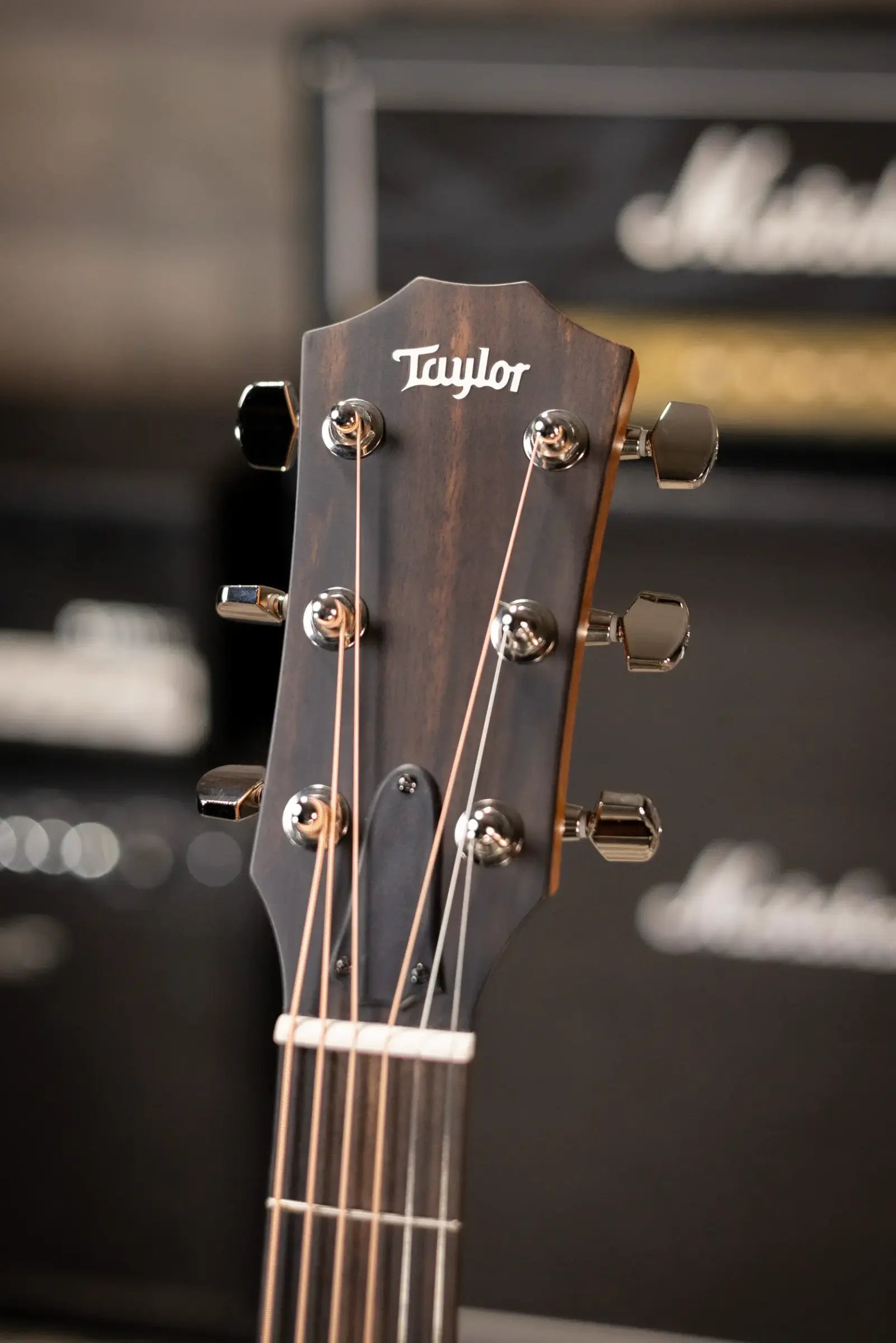 Taylor 414ce Studio Grand Auditorium Acoustic/Electric Guitar - Natural with Gig Bag