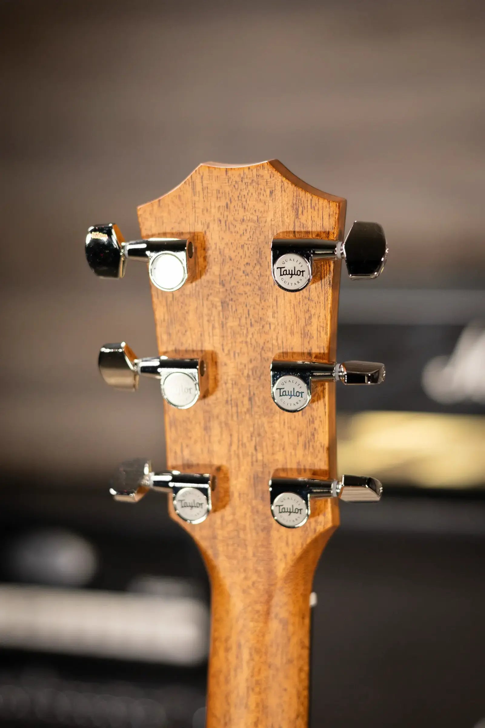 Taylor 414ce Studio Grand Auditorium Acoustic/Electric Guitar - Natural with Gig Bag
