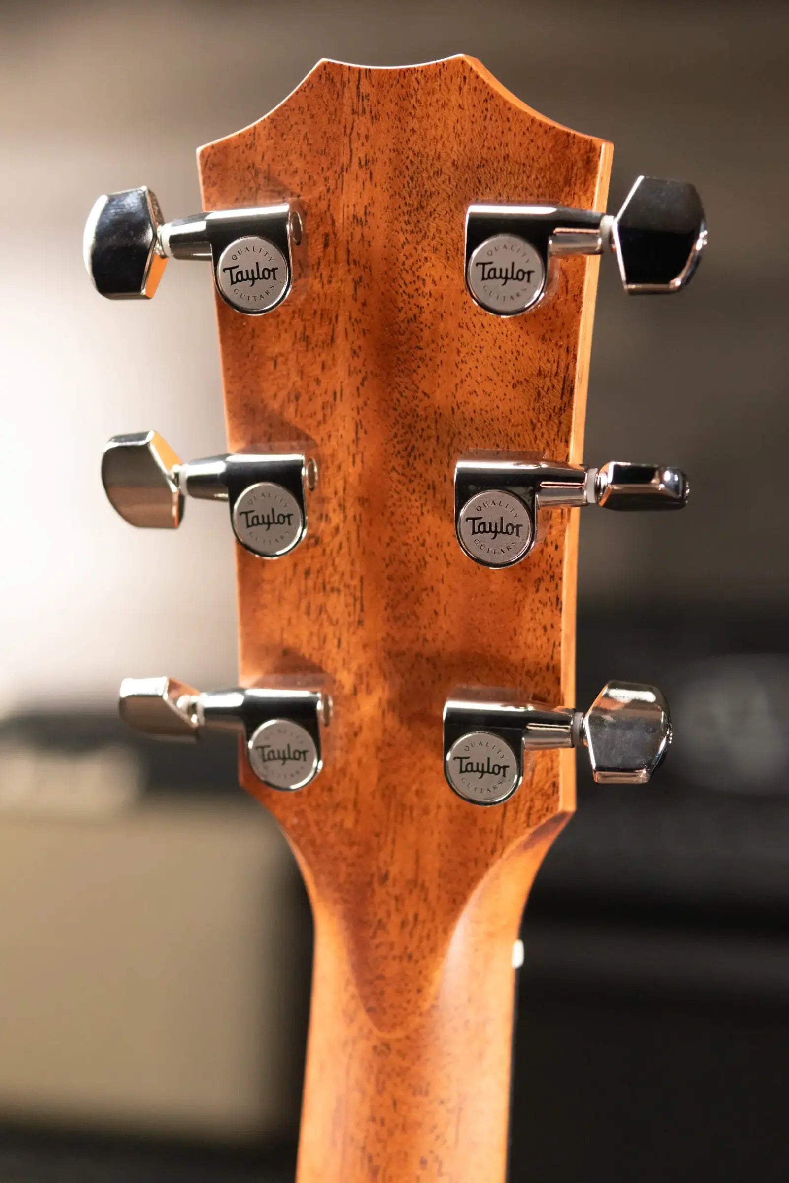 Taylor 414ce Studio Grand Auditorium Acoustic/Electric Guitar - Shaded Edge Burst Top with Gig Bag - Factory Demo