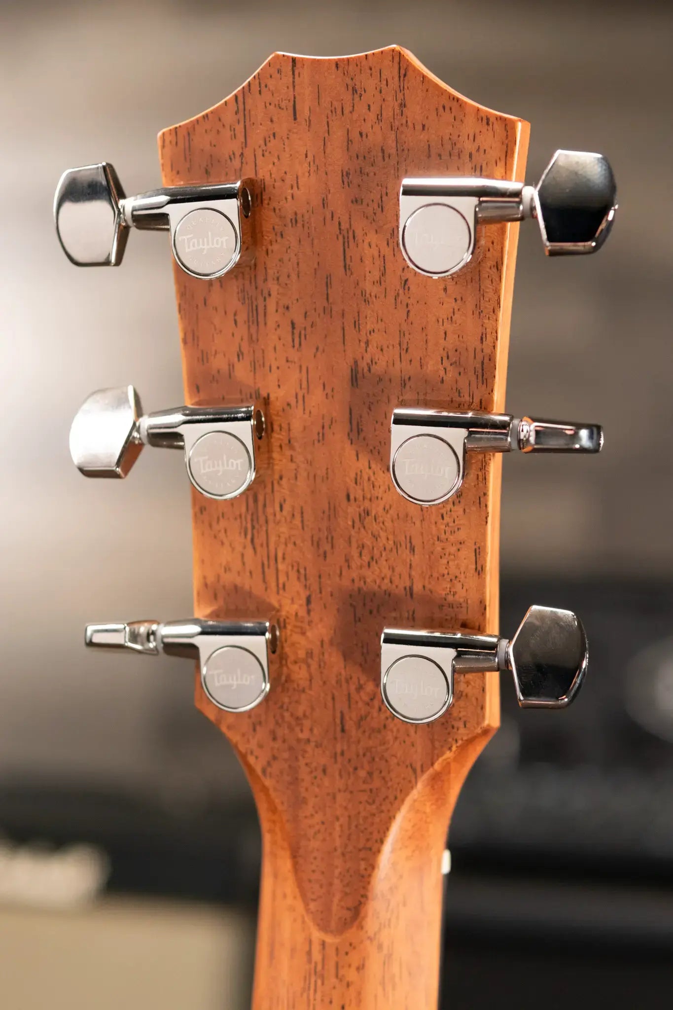 Taylor 414ce Studio Special Edition Grand Auditorium Acoustic/Electric Guitar with Structured Gig Bag