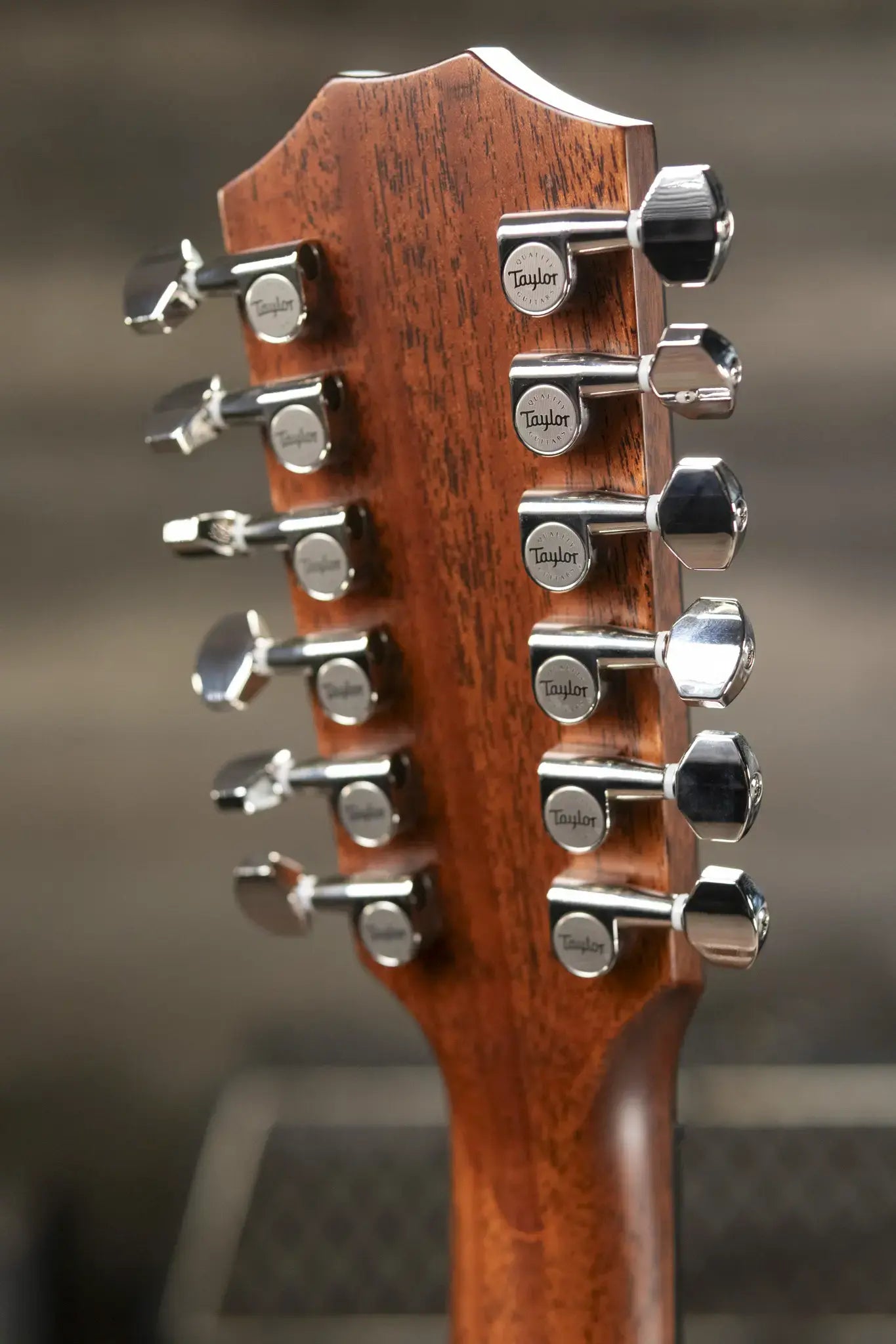 Taylor 454ce-R 12-String Grand Auditorium Acoustic/Electric Guitar - Sunburst Top with Hardshell Case