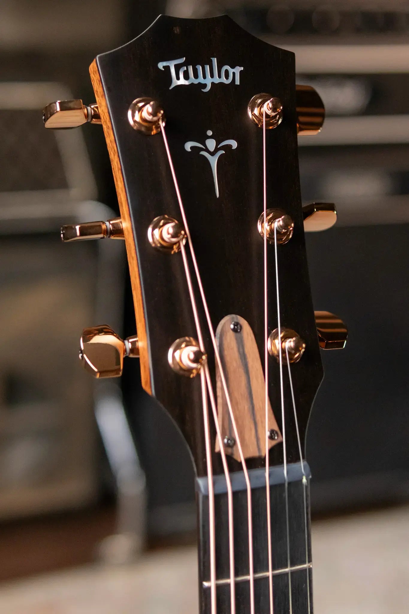 Taylor 722ce Grand Concert Acoustic/Electric with Hardshell Case
