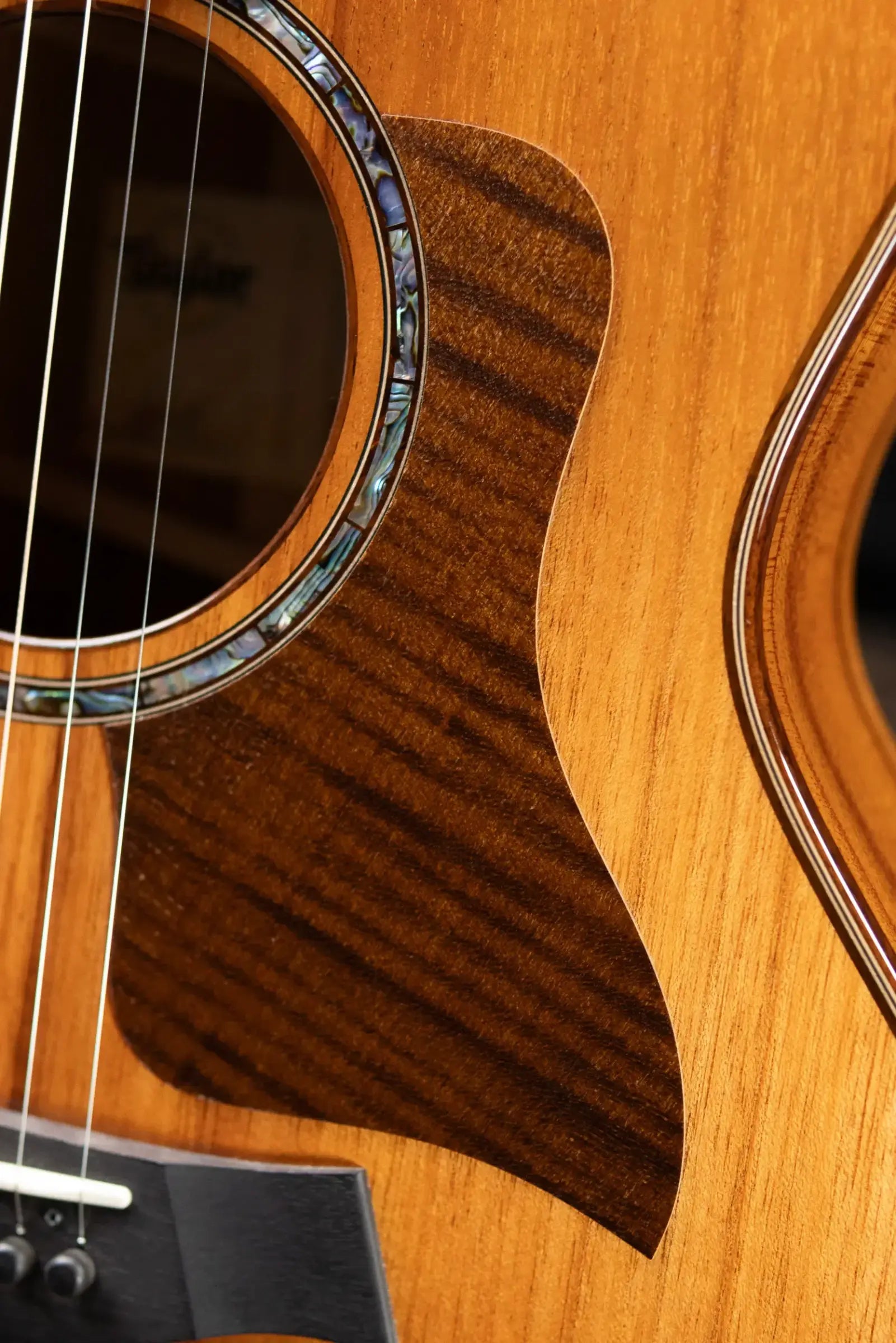 Taylor 724ce Grand Auditorium Acoustic/Electric Guitar with Hardshell Case