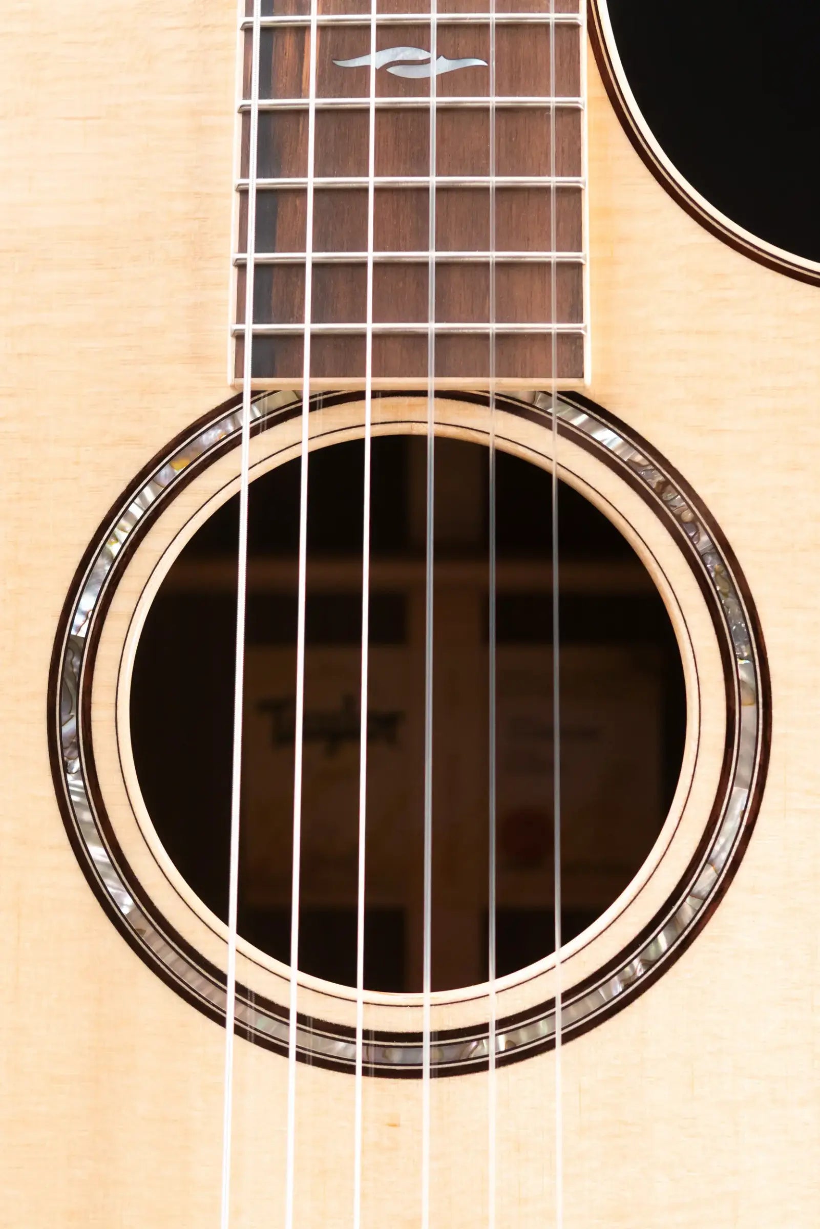Taylor 814ce-N Nylon Grand Auditorium Acoustic/Electric Guitar with Hardshell Case