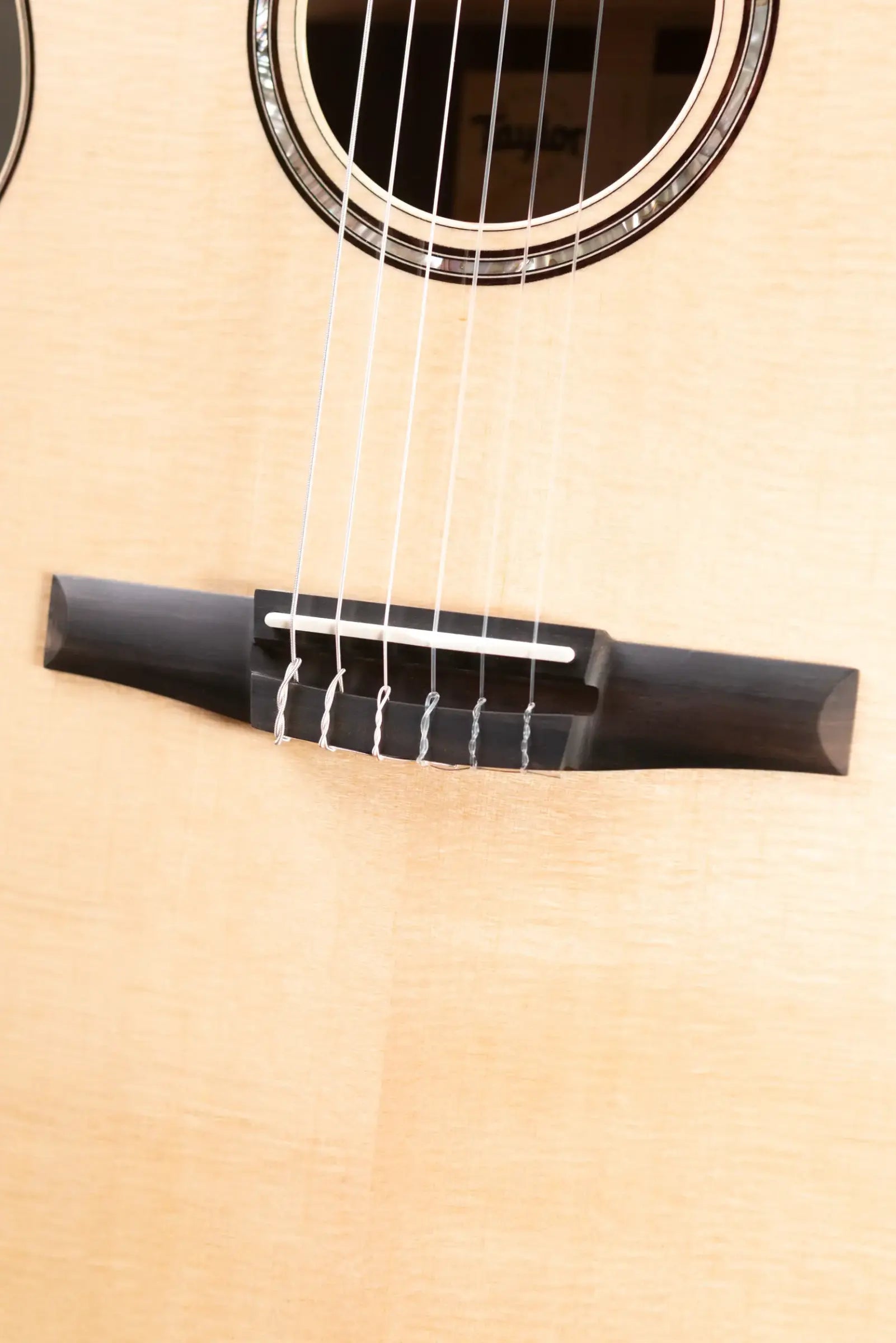 Taylor 814ce-N Nylon Grand Auditorium Acoustic/Electric Guitar with Hardshell Case