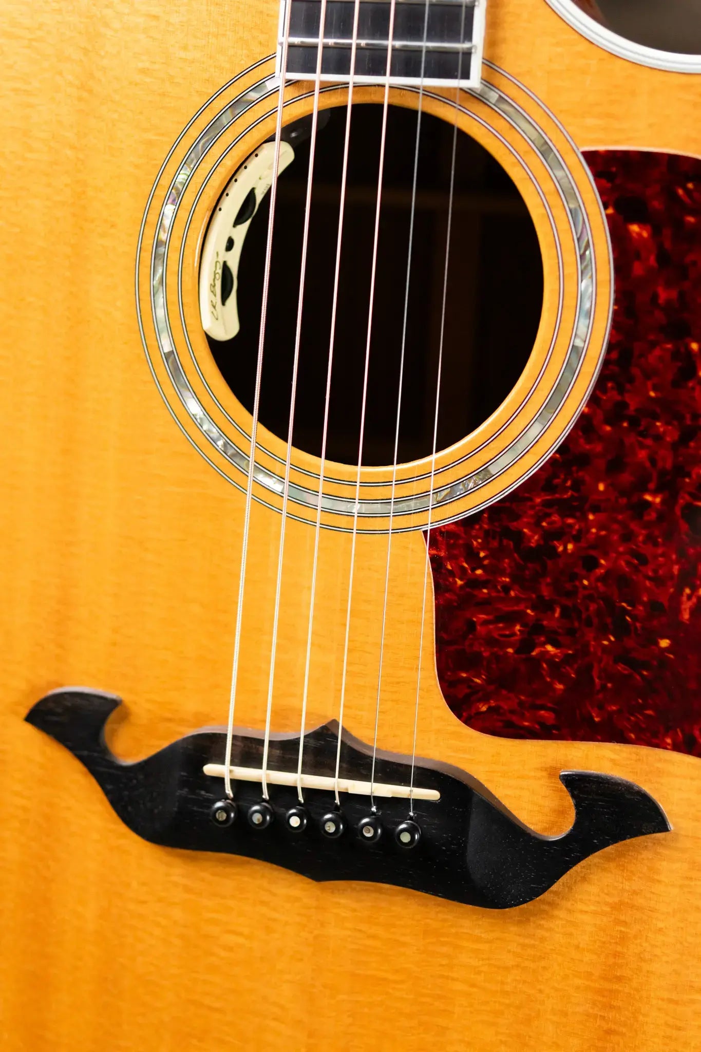 Taylor 815c Acoustic/Electric Guitar with Hardshell Case - Used