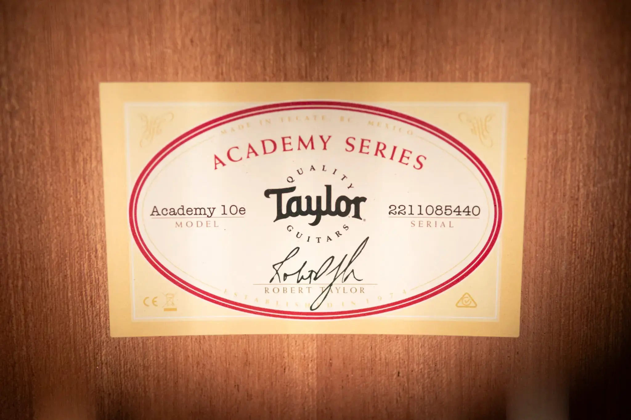 Taylor Academy 10e Dreadnought Acoustic/Electric Guitar with Gig Bag