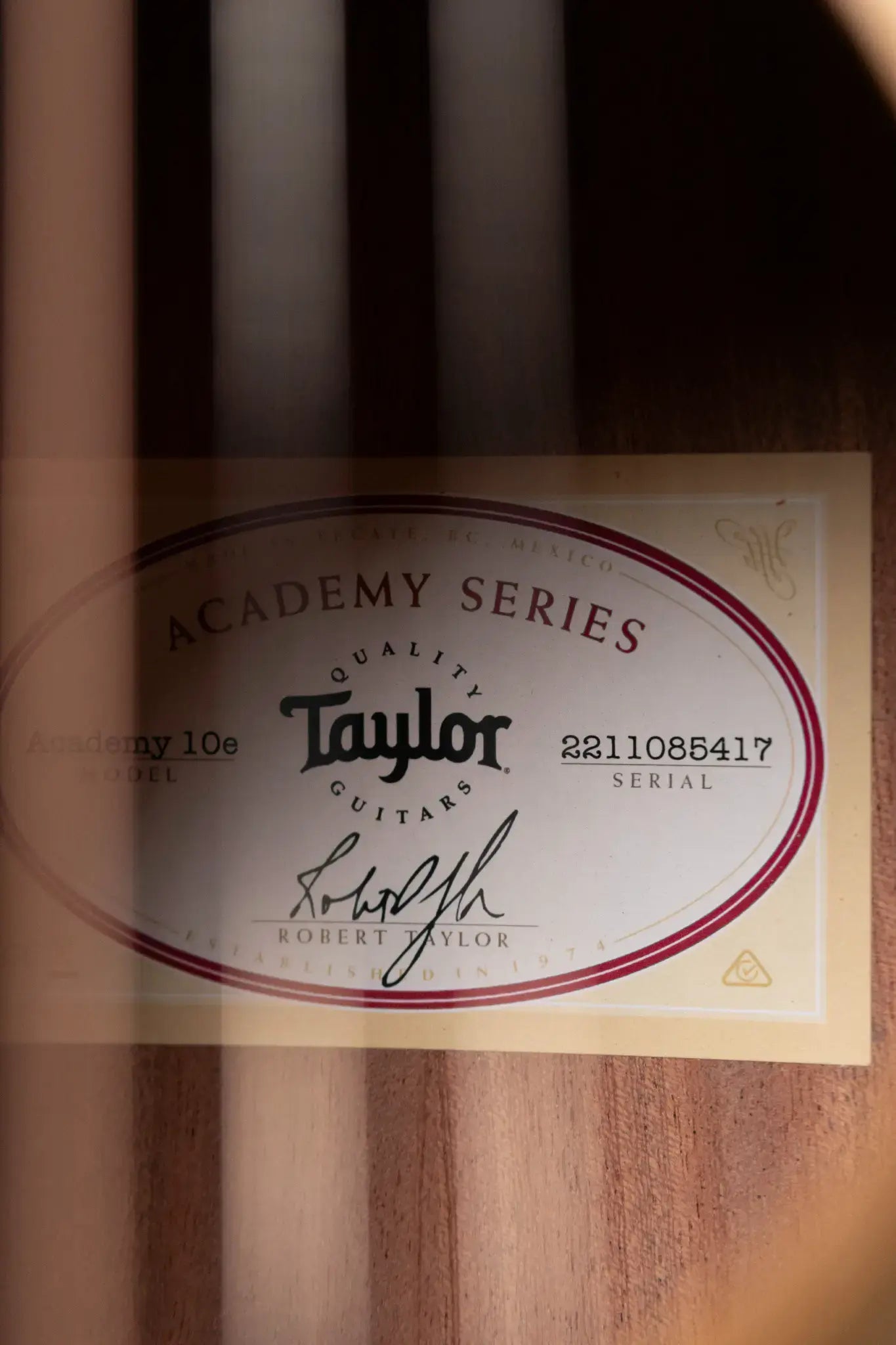 Taylor Academy 10e Dreadnought Acoustic/Electric Guitar with Gig Bag