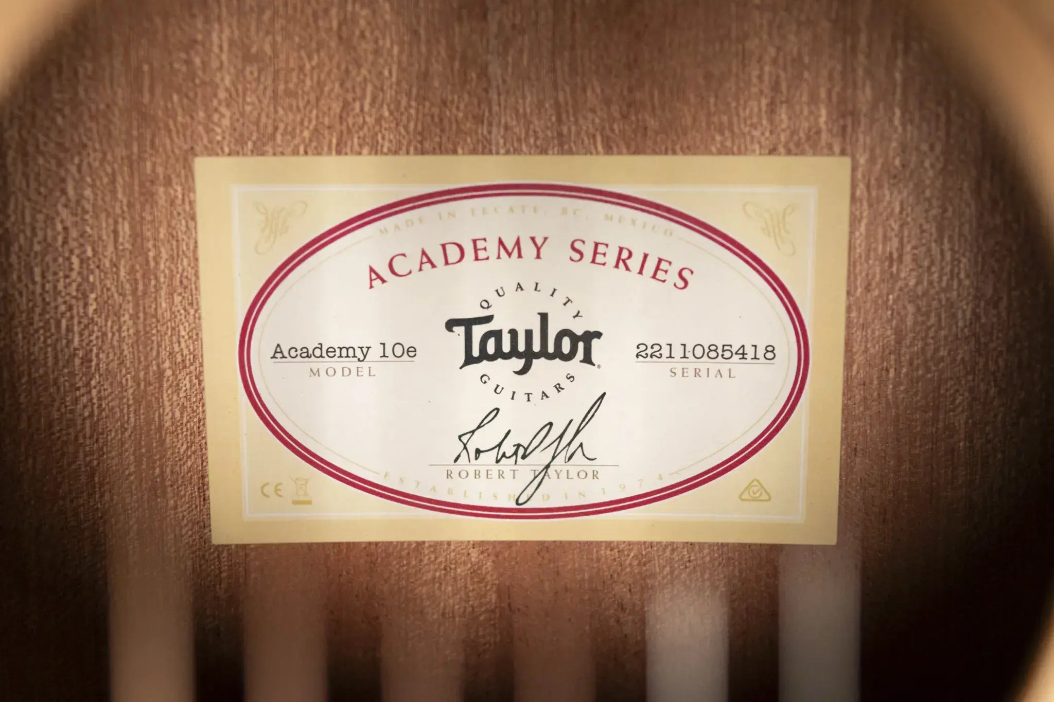 Taylor Academy 10e Dreadnought Acoustic/Electric Guitar with Gig Bag