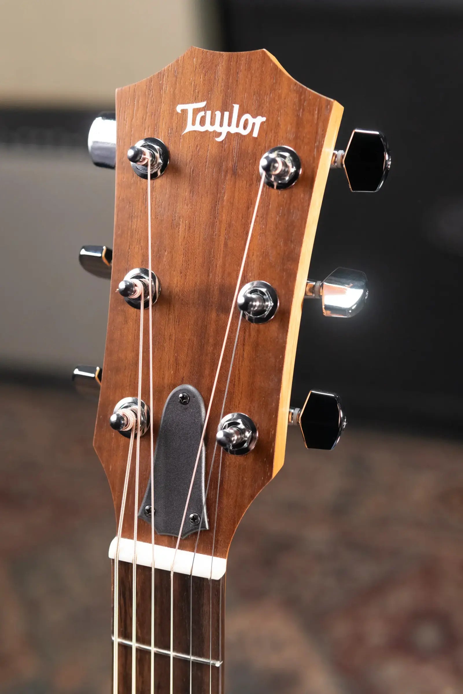 Taylor Academy 10e Dreadnought Acoustic/Electric Guitar with Gig Bag