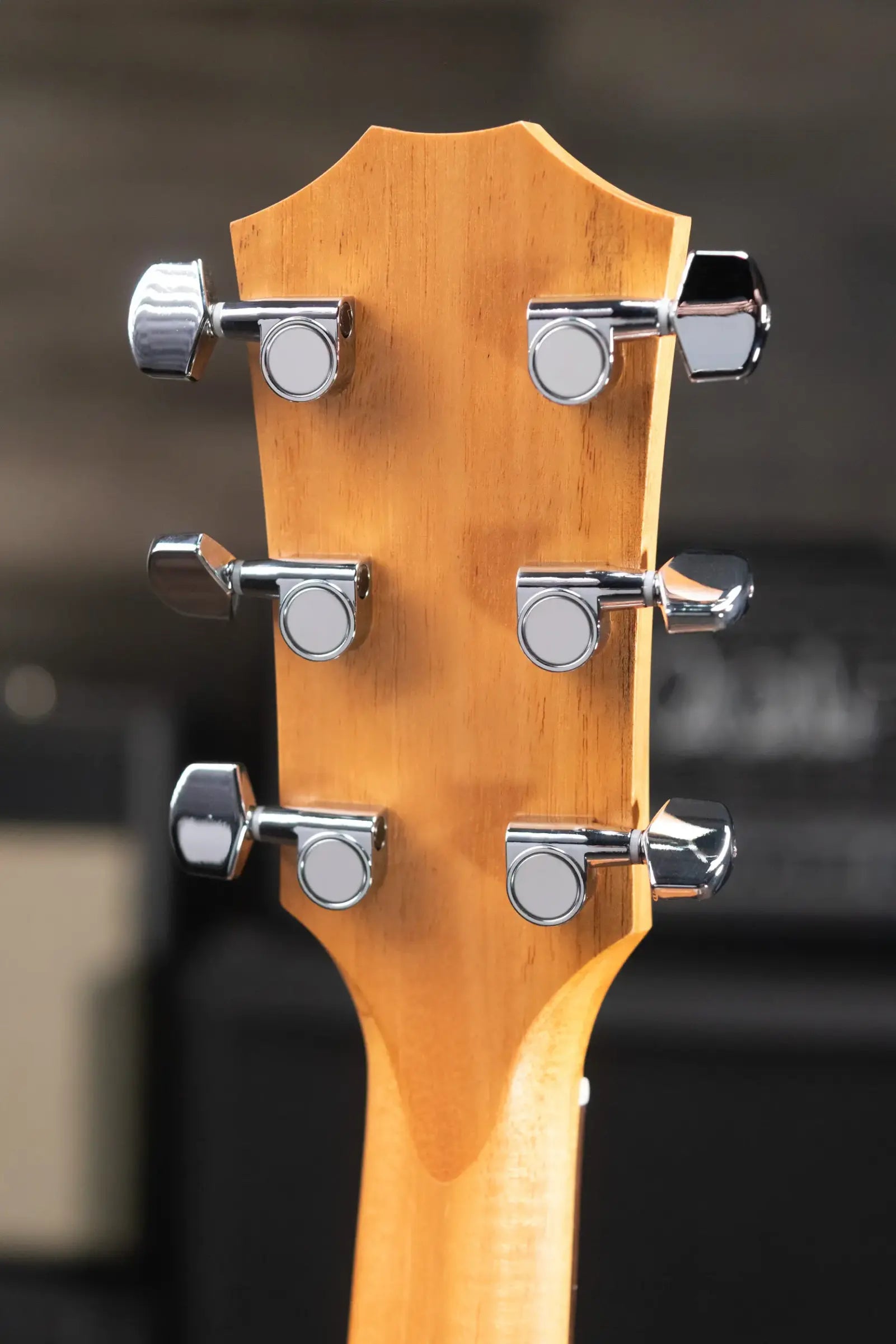 Taylor Academy 10e Dreadnought Acoustic/Electric Guitar with Gig Bag