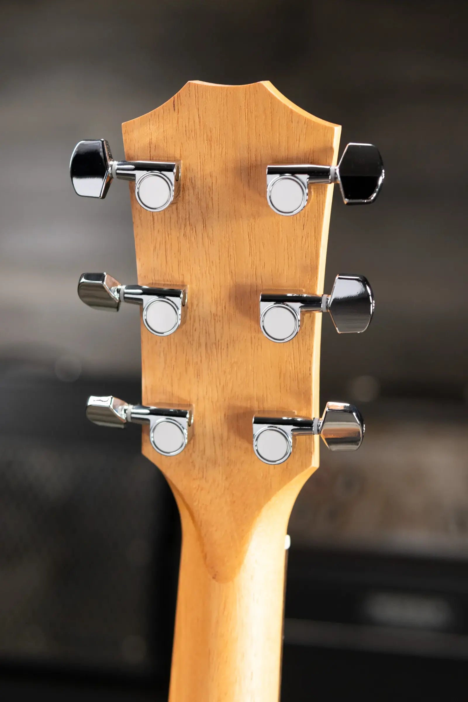 Taylor Academy 10e Dreadnought Acoustic/Electric Guitar with Gig Bag