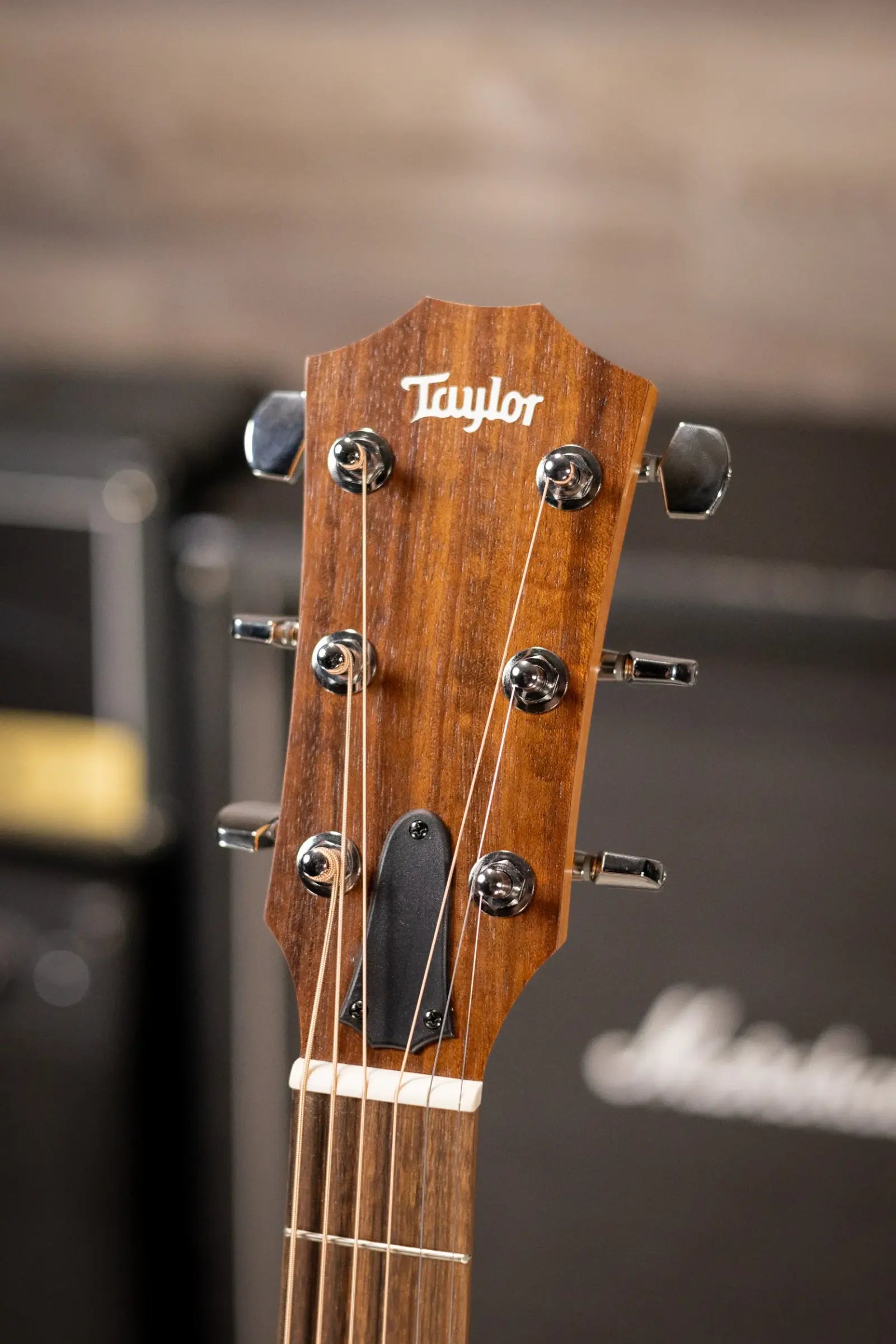 Taylor Academy 10e Dreadnought Acoustic/Electric Guitar with Gig Bag