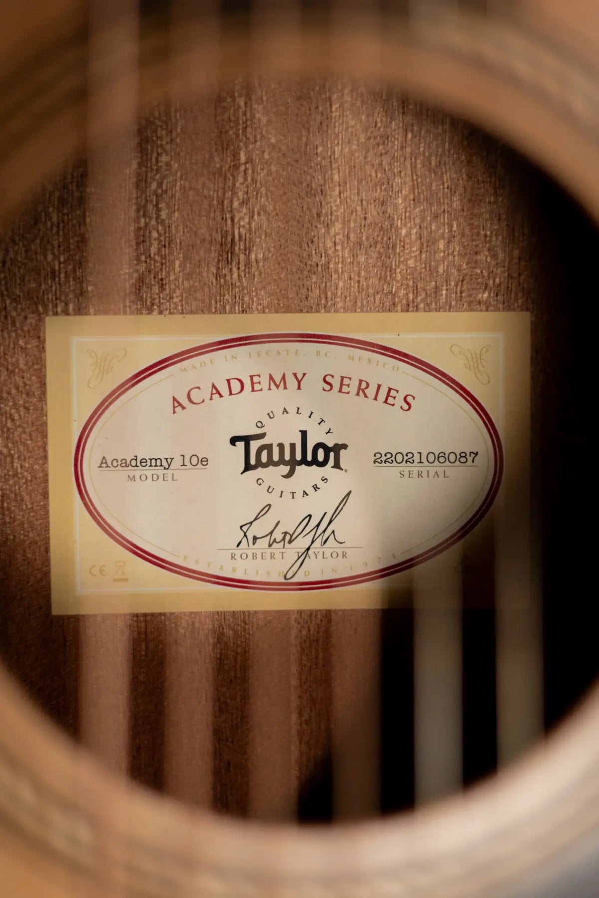 Taylor Academy 10e Dreadnought Acoustic/Electric Guitar with Gig Bag