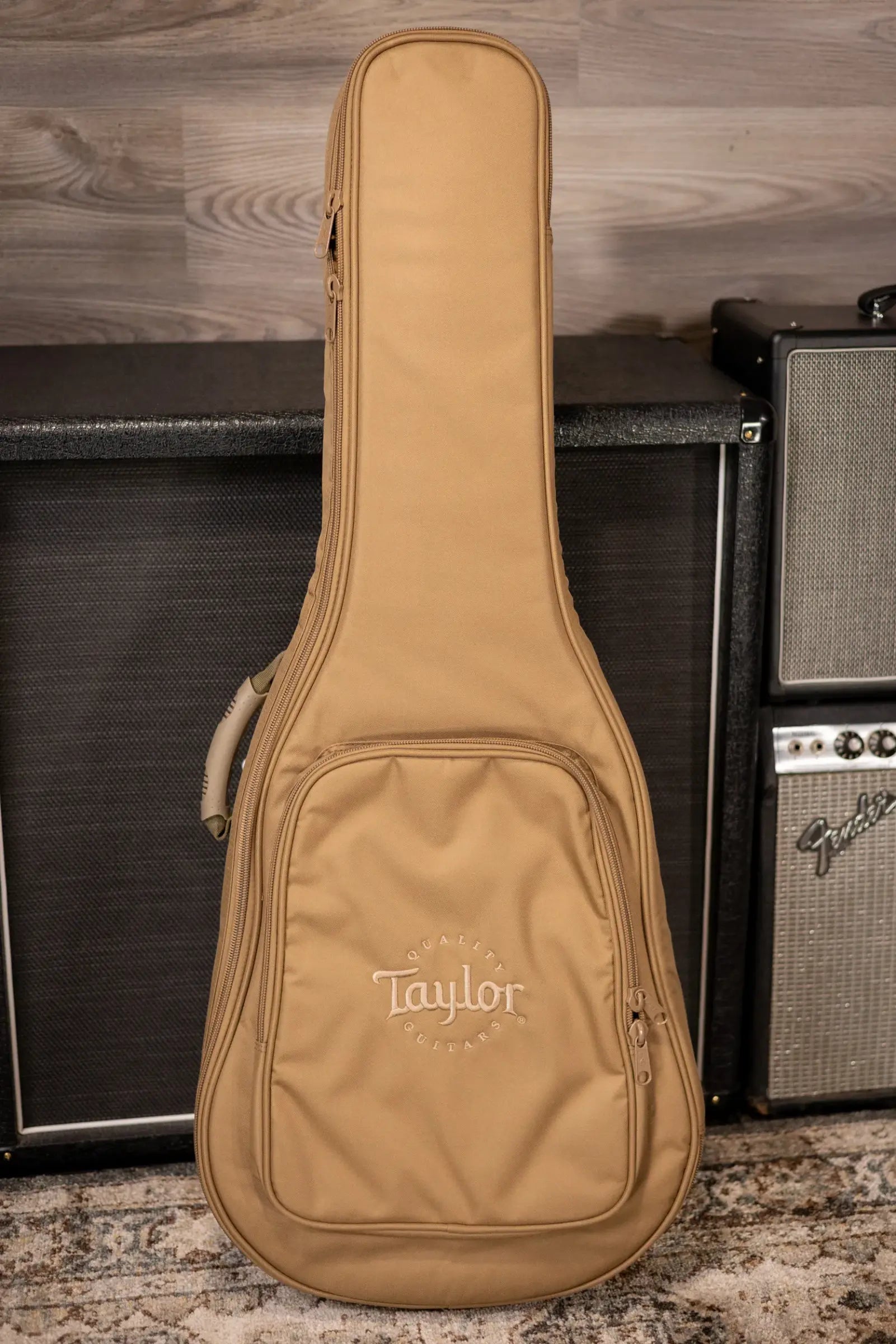 Taylor Academy 10e Dreadnought Acoustic/Electric Guitar with Gig Bag