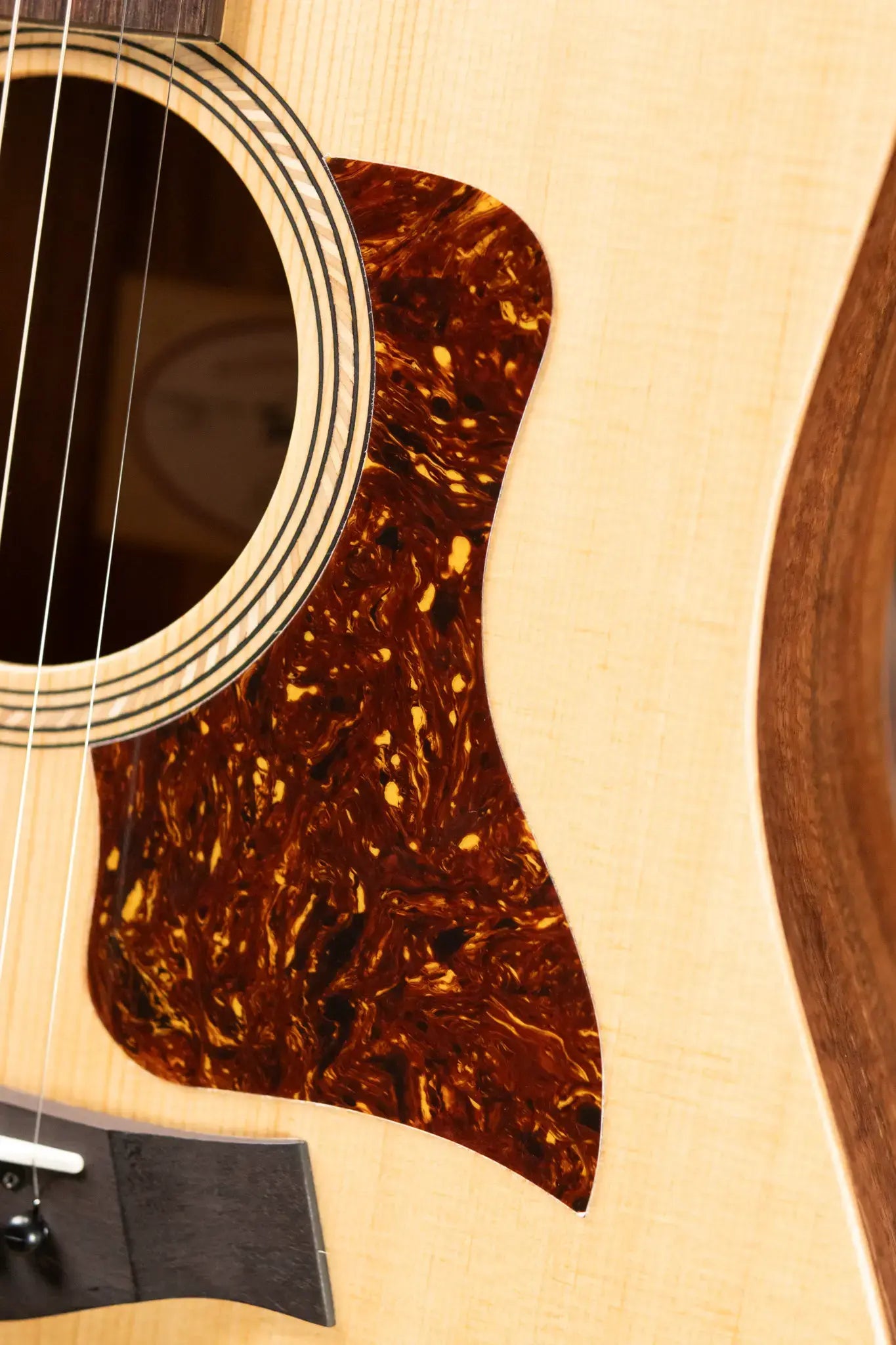 Taylor Academy 10e LTD Dreadnought Acoustic/Electric Guitar - Spruce/Figured Koa with Gig Bag