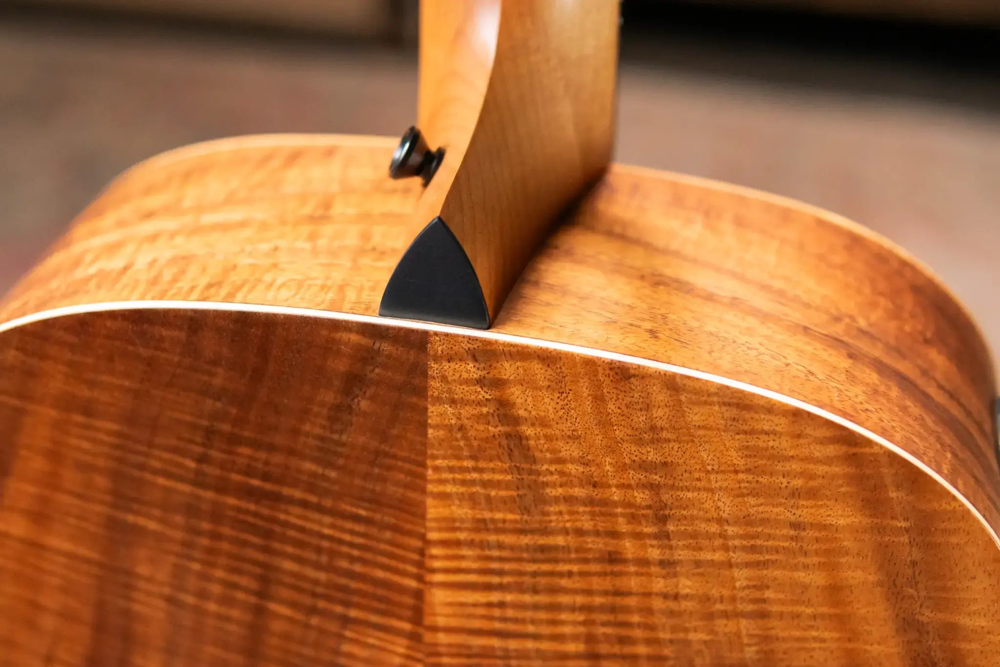 Taylor Academy 10e LTD Dreadnought Acoustic/Electric Guitar - Spruce/Figured Koa with Gig Bag