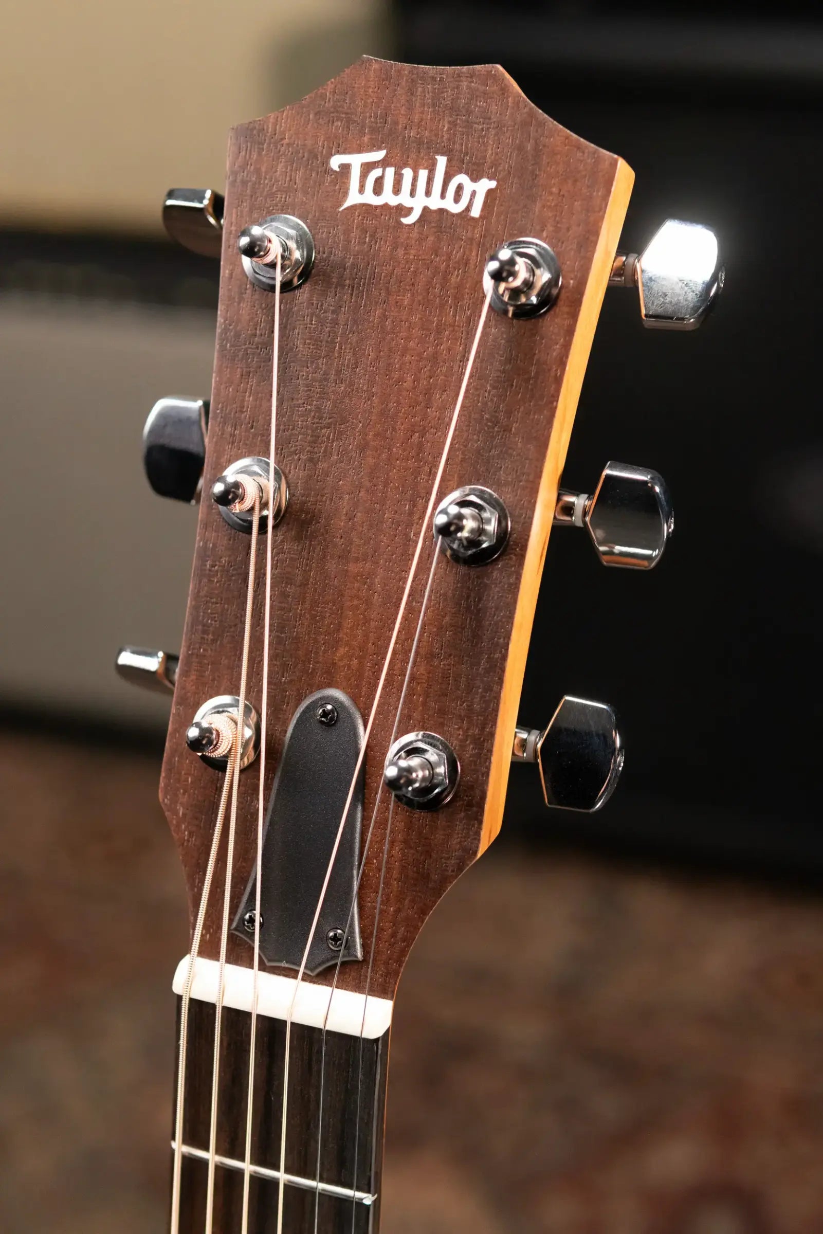 Taylor Academy 12 Grand Concert Acoustic Guitar with Gig Bag